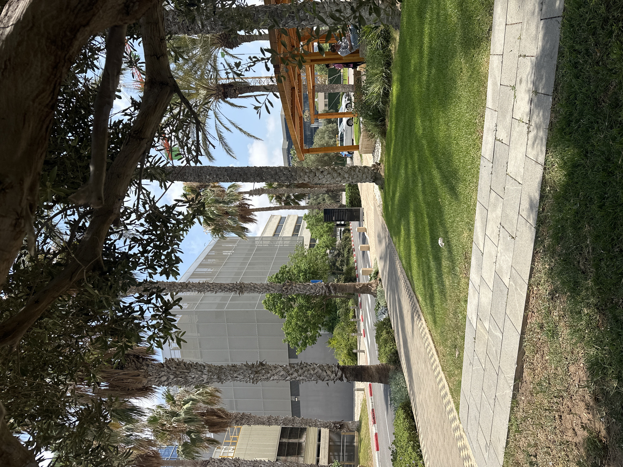The image depicts a sunny outdoor scene with elements of urban landscaping and architecture. In the foreground, a paved walkway with a decorative border runs alongside a neatly mown green lawn. Beyond the lawn, a street is visible with a pedestrian crossing marked by red and white stripes. Palm trees are interspersed throughout the scene, contributing to a tropical or Mediterranean ambiance.
In the background, a modern, multi-story building with a white, grid-like facade dominates the left side of the image. To the right of this building, a smaller structure with a wooden pergola and seating area provides a shaded spot. Two individuals are visible under the pergola; one person is seated, and another stands near them. In the middle ground, a white car is parked.
Further in the distance, more buildings and trees are visible under a clear blue sky. Construction cranes can be seen in the far distance, suggesting ongoing development or infrastructure work.
Based on the architectural style and the presence of palm trees, the location is likely in a warm climate. The combination of modern buildings, landscaped areas, and the overall aesthetic suggests a corporate campus, a modern residential complex, or a public park in a developed urban area. While the exact location is not definitively identifiable from the image alone, the presence of distinct architectural styles and landscaping common in Israel points towards a city like Haifa.