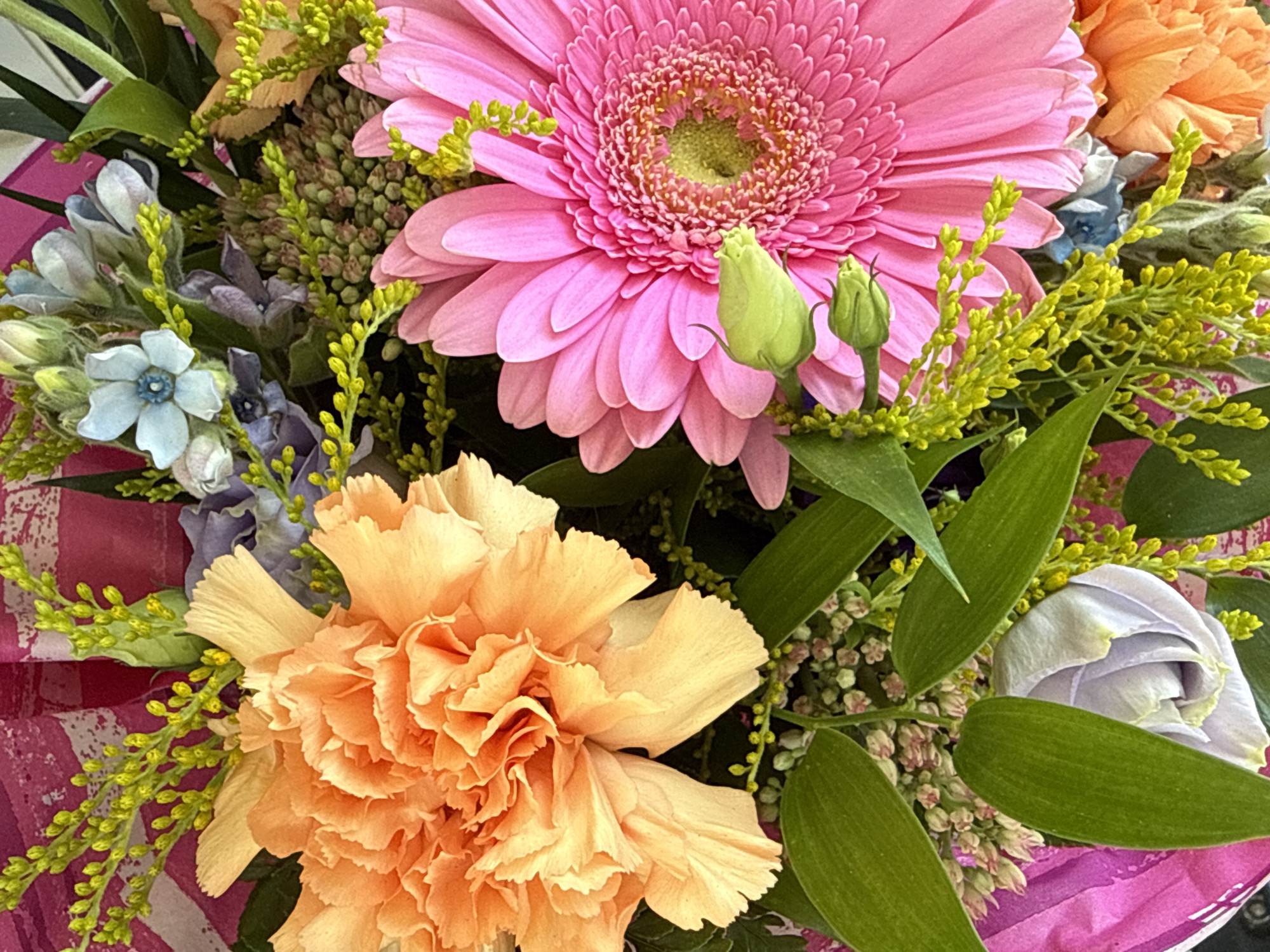 A close-up, overhead shot showcases a vibrant bouquet of flowers. Dominating the foreground on the right is a large, bright pink gerbera daisy with a textured, lime-green center. To its left, a ruffled, peach-colored carnation unfurls its petals. In the upper left quadrant, a cluster of delicate, light blue flowers with darker blue centers peeks out from behind. Various green leaves and small, yellow-green filler flowers add texture and depth to the arrangement. The background appears to be a pink and white striped wrapping material, possibly paper or fabric. The image is lit evenly, highlighting the rich colors and intricate details of the flowers. There are no people or signs of human activity visible in this static composition. There is no information in the image to suggest a specific location in the city of Görlitz, Germany.