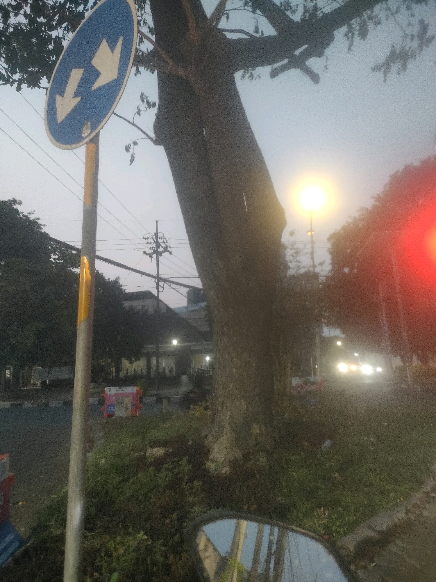 The image depicts a street scene in Surabaya, Indonesia, at dusk or dawn, characterized by low light conditions and a hazy sky. A blue circular traffic sign with two opposing white arrows is prominently displayed on a yellow pole. The sign indicates a mandatory two-way traffic route. Behind the sign, a large tree trunk is visible, with its branches extending upwards and silhouetted against the sky. A street lamp emits a bright light in the middle ground, and the headlights of a vehicle are visible further down the road. Red light from a traffic signal or another source is also present on the right side of the image. The foreground shows a grassy area with some vegetation and a motorcycle's rearview mirror reflecting the scene. In the background, buildings and electrical poles are discernible. The overall impression is of a somewhat urban, yet natural setting, with elements of traffic and infrastructure.