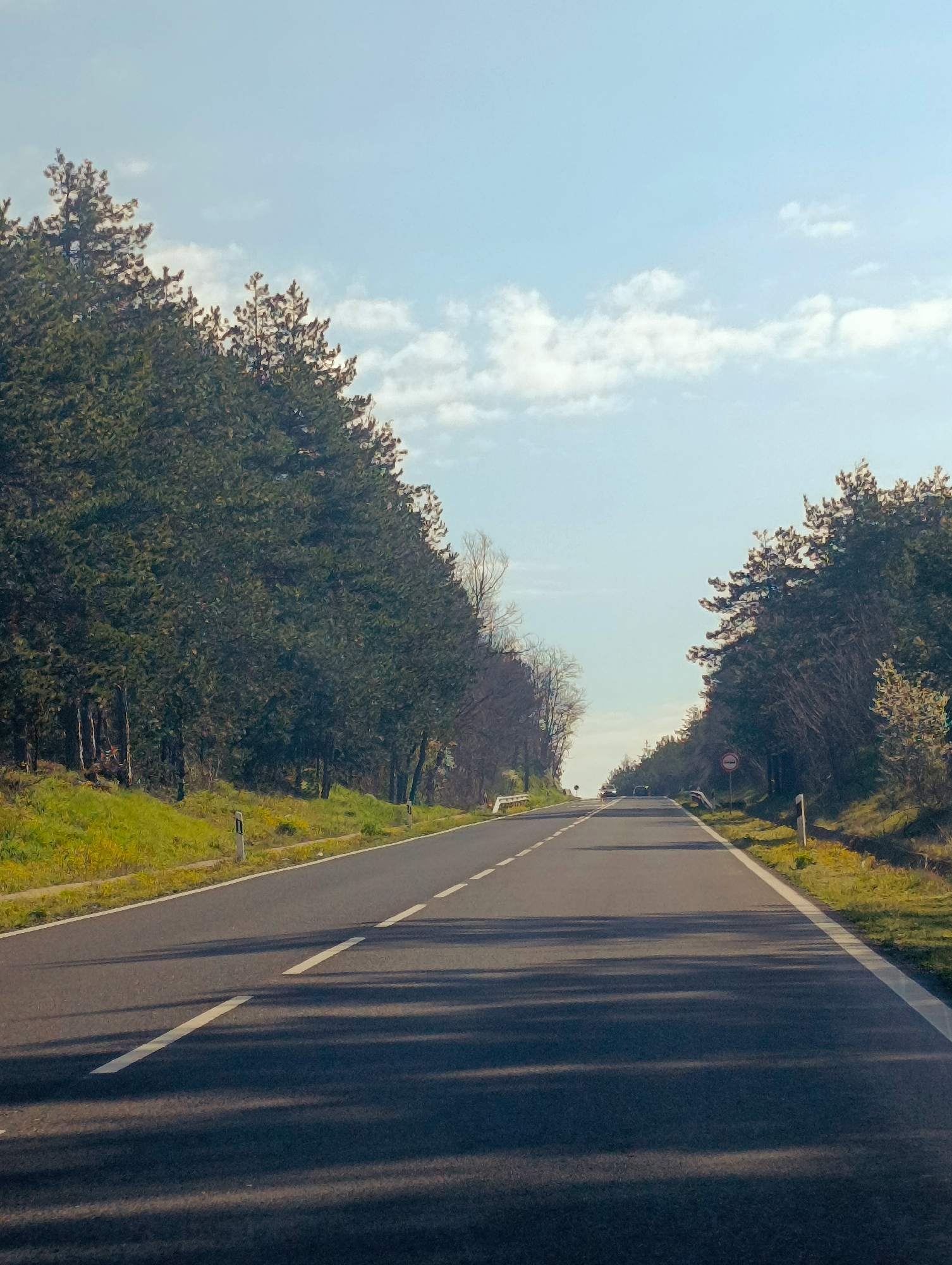 A straight asphalt road stretches into the distance, flanked by dense trees on either side. White lines mark the edge of the road and a dashed line separates the lanes. Patches of green grass line the roadside. The sky is light blue with wispy clouds. In the distance, a vehicle is visible on the road. The location is identified as being in Sedlovina, Bulgaria.