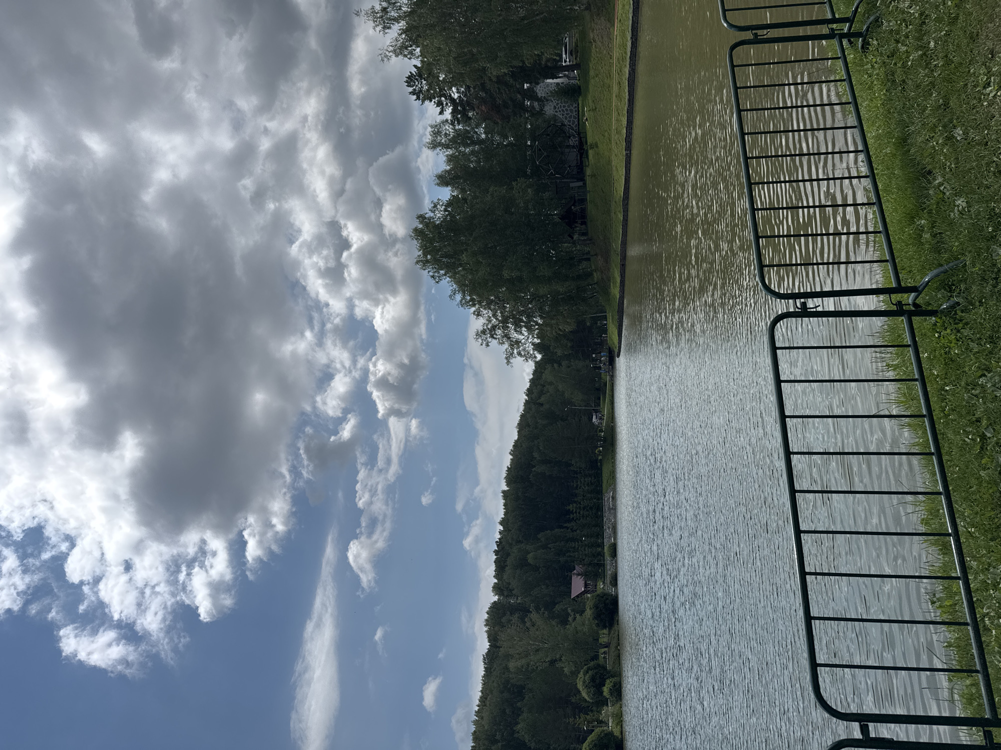 The image depicts a scenic view of a calm lake with a gentle ripple on its surface, bordered by a lush green grassy bank. In the foreground, a dark green metal barrier with vertical slats separates the grass from the viewer. The background is dominated by a dense forest of various trees, with a cluster of buildings nestled amongst them on the left side, featuring a prominent red-roofed structure. The sky above is a mix of bright blue patches and heavy, dark grey clouds, suggesting an overcast or rapidly changing weather condition. The overall impression is of a tranquil natural setting, likely a park or recreational area. The location is the park in the city of Koltsovo, Russia, specifically the area around the lake.