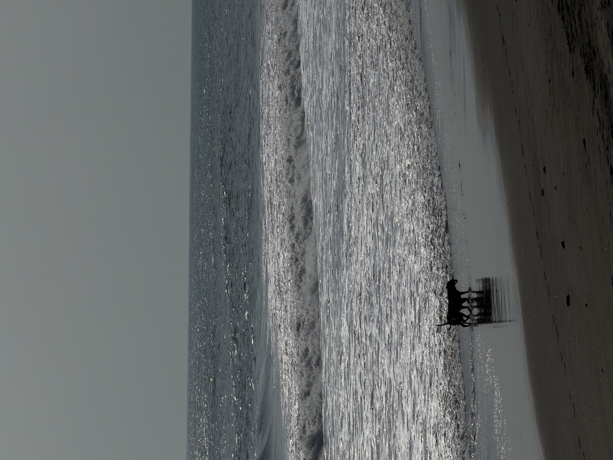 The image displays a beach scene in Belalang, Indonesia, under an overcast or hazy sky. The upper third of the frame is occupied by a light gray sky. Below, the sea features dark blue-gray water with sun glints on the distant surface. Closer to the foreground, multiple lines of white-crested waves are breaking and receding. Two dogs, rendered in silhouette due to backlighting, are walking leftward along the wet sand at the water's edge. The lead dog is medium-sized, with a second, slightly smaller dog following closely behind. Both dogs are reflected clearly on the highly reflective wet sand. The dark, wet sand occupies the lower portion of the frame, transitioning to drier, dark sand in the immediate foreground, where scattered small rocks and faint footprints are visible. No people are present.