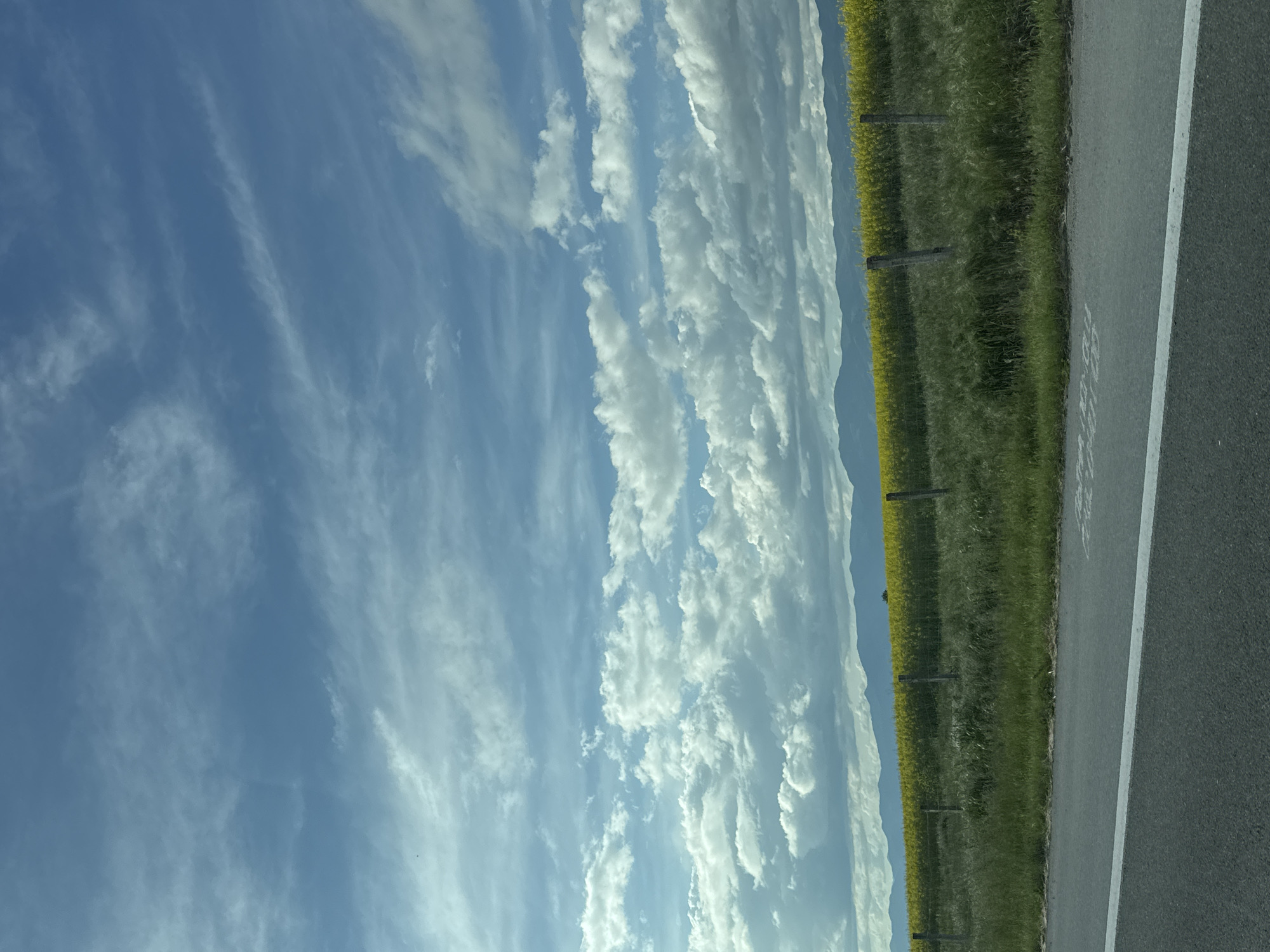 The image shows a roadside scene. On the right is a grey asphalt road with a white line marking. Adjacent to the road is a field of green grass and yellow flowers, divided by a wooden fence line with posts. In the background, mountains are faintly visible behind the field. The sky takes up the left side of the image, showing a gradient of blue with streaks of white clouds. There is no indication of Veselinovo, Bulgaria in the image.
