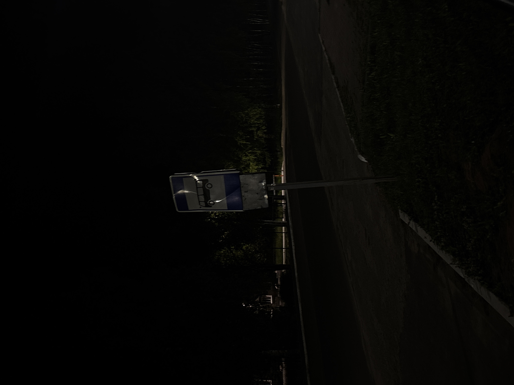 The image captures a dark, outdoor scene, likely taken at night or during very low light conditions, in Красные Баки, Russia. The most prominent subject is a bus stop sign, positioned on a metal post on the left side of the frame. The sign is rectangular, predominantly blue with a white border, and features a clear white pictogram of a bus, indicating a designated public transport stop.
To the right of the sign, a dark asphalt road or path extends into the distance, edged by a lighter-colored line that may be a curb or road marking. Adjacent to the road and behind the sign, dark vegetation, including grass and what appear to be bushes or trees, is visible, suggesting an unlit roadside or natural area.
The scene is cast in deep shadow, with very little artificial light present, contributing to a stark and quiet atmosphere. No individuals or vehicles are visible, and no specific activity is taking place. The extreme darkness obscures most background details, though vague shapes that could be distant structures or fences are faintly discernible through the foliage. No legible text is visible on the sign, only the iconic bus symbol.
