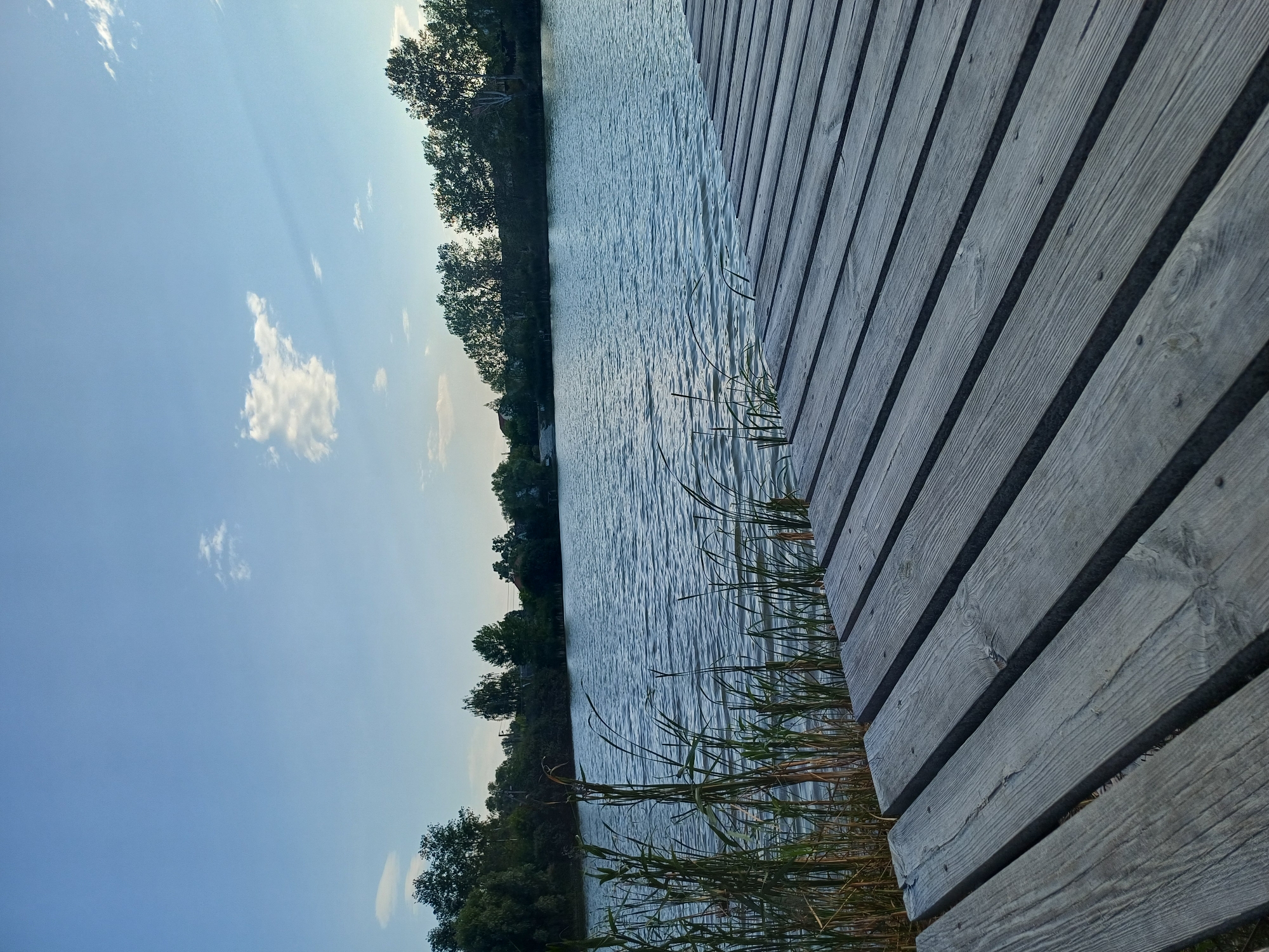 This is a photograph of a wooden pier extending into a calm lake. The pier is made of weathered grey planks laid parallel to each other. In the foreground, reeds and tall grasses grow along the edge of the water. The lake's surface shows gentle ripples, and on the far bank, a line of trees forms a natural border, with some houses visible through the foliage. The sky above is a clear blue with a few wispy clouds, suggesting it is either morning or late afternoon. The location is identified as Sulymivka, Ukraine. There are no people or animals visible in the image.