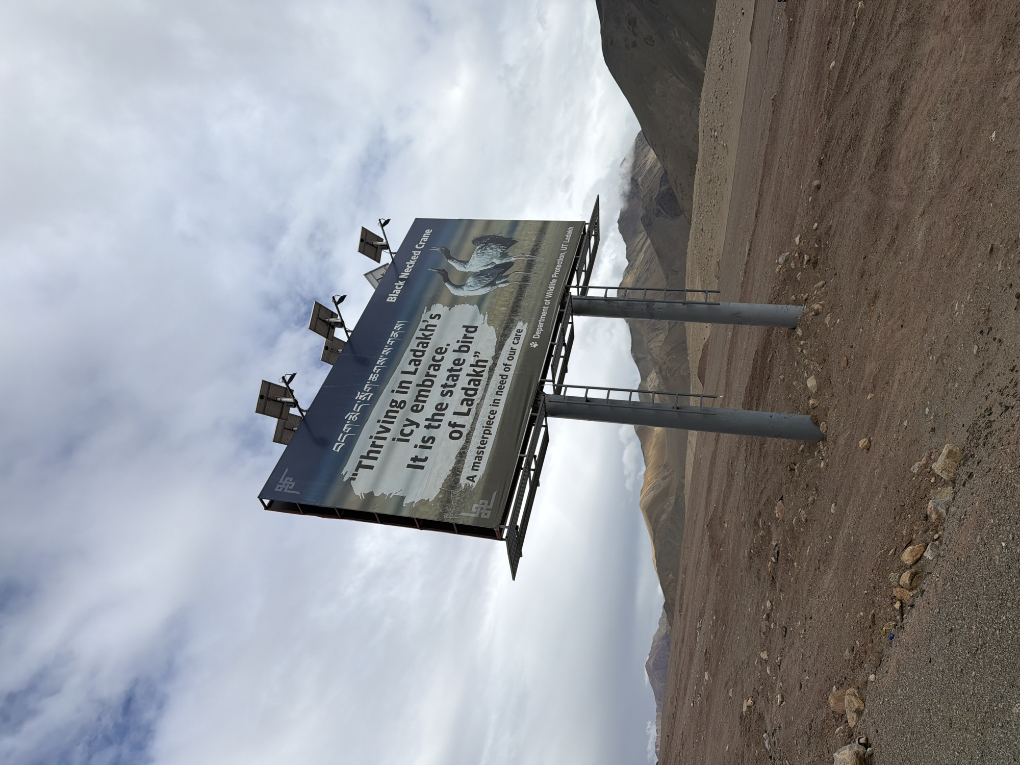 A billboard stands prominently in the barren, mountainous landscape of Nyoma, India. The billboard, angled towards the viewer, features an image of two black-necked cranes and text in both English and Tibetan. The English text reads: "Thriving in Ladakh's icy embrace. It is the state bird of Ladakh" and "A masterpiece in need of our care". Below this, it states "Department of Wildlife Protection, UT Ladakh". The billboard is supported by two grey metal poles and has solar panels mounted on top. The surrounding environment is characterized by dry, reddish-brown earth, scattered rocks, and rolling hills in the background under a cloudy sky. The scene appears to be a promotional display for wildlife conservation in the region.