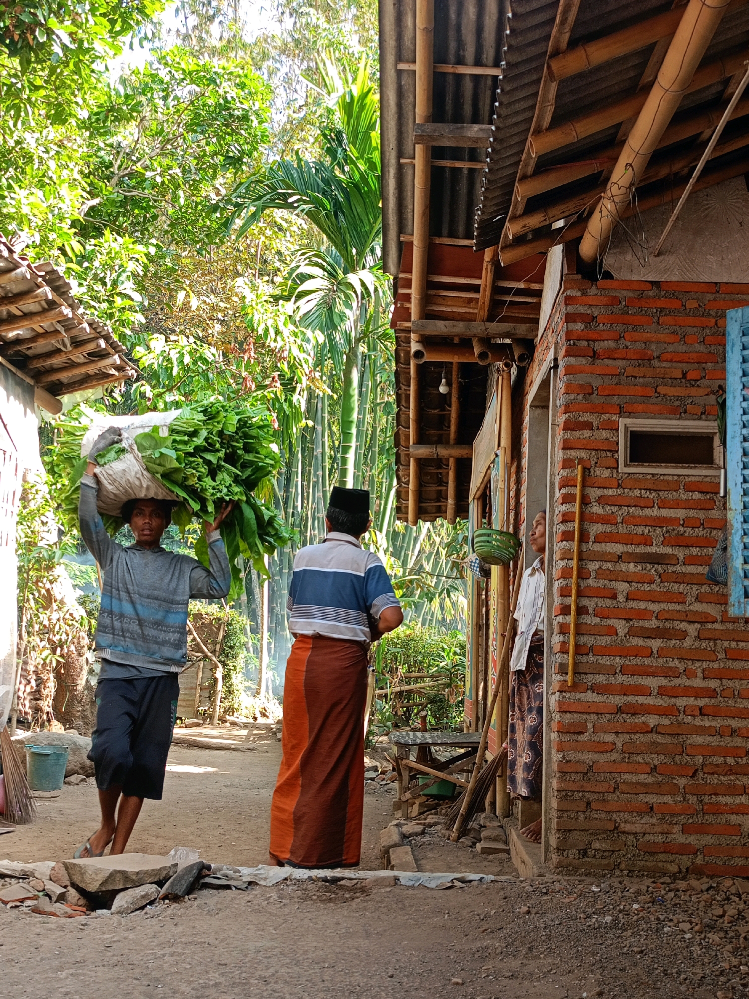 In the village of Jelbuk, Indonesia, a young person walks carrying a large bundle of green foliage on their head. They are wearing a grey long-sleeved shirt with blue stripes and dark shorts. To their right, another person, an adult male, stands facing away from the camera. He is wearing a blue and white striped shirt and an orange sarong. He has a black peci hat on his head. Behind them, a brick building with a corrugated metal roof supported by bamboo is visible. A person, possibly a woman, stands in the doorway of the building, wearing a white shirt and patterned sarong. A broom leans against the wall next to the doorway, and a green woven basket hangs from the side of the building. The ground is dirt and gravel, with scattered rocks and debris. Lush green vegetation, including trees and tall bamboo stalks, surrounds the scene, indicating a rural or semi-rural setting. The sunlight suggests it is daytime.