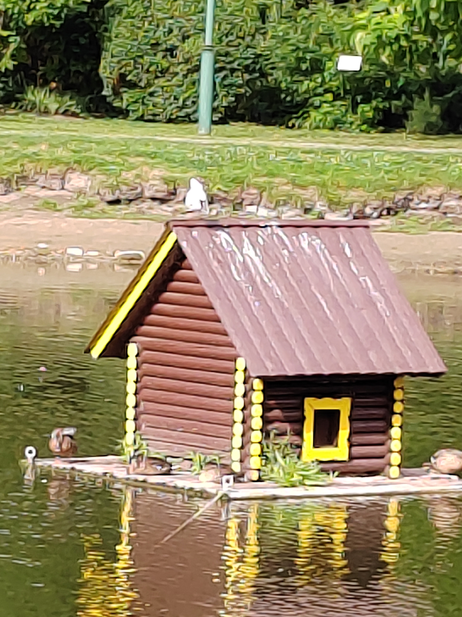 A miniature log cabin birdhouse with a brown, corrugated roof trimmed in yellow sits on a wooden platform floating in the middle of a body of water. The birdhouse has a yellow-trimmed rectangular window. Several ducks are visible on the platform and in the water. In the background, a grassy area and lush green trees are visible. A light green pole is positioned behind the birdhouse. The scene is located in Brest, Belarus.