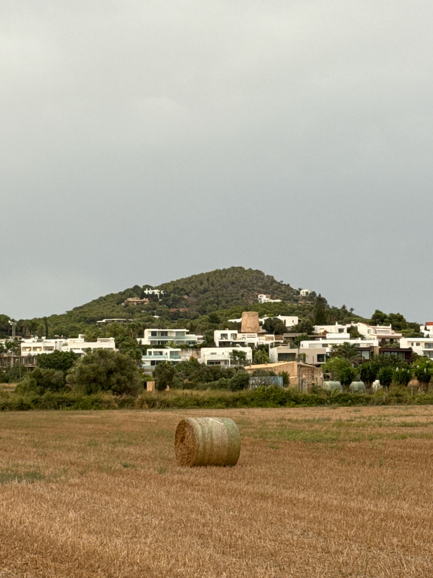 The image depicts a rural landscape in Santa Eulària des Riu, Spain, characterized by a dry field in the foreground and a densely wooded hillside dotted with modern white houses in the background. A single, round bale of hay rests in the center of the dry, golden field. The sky is overcast and a uniform gray. The architecture of the houses suggests a contemporary design, with clean lines and large windows. The overall scene is tranquil and somewhat somber due to the overcast sky.