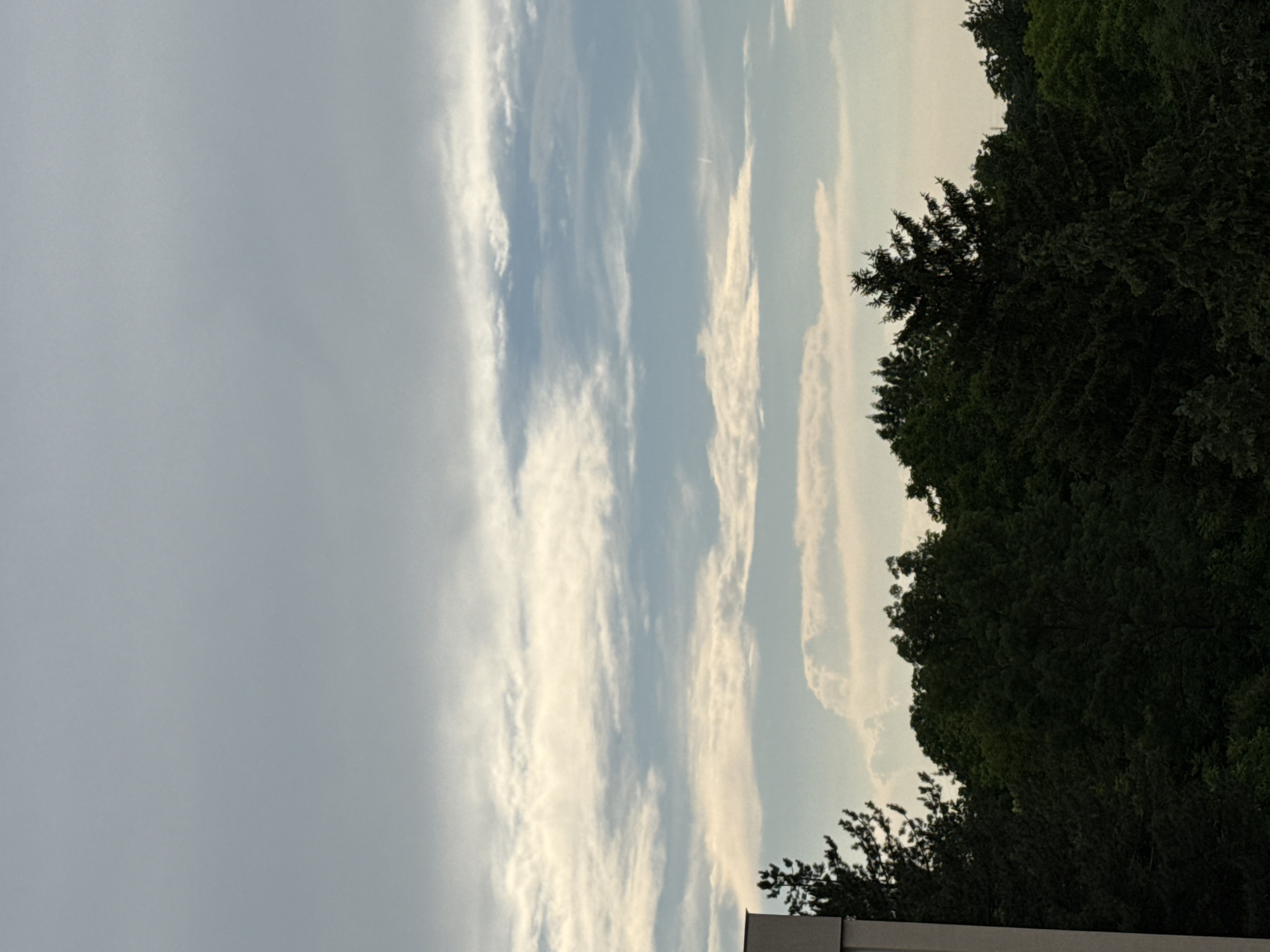 A full, slightly low-angle shot captures a cloud-filled sky above a dense line of evergreen and deciduous trees. A sliver of a modern, light-colored building is visible on the far left. The sky is overcast with layered clouds, ranging from thin, wispy formations to thicker, more substantial ones. The upper portion of the sky is a muted grey, transitioning to lighter grey and then to patches of pale blue and white clouds nearer the horizon. The trees form a dark, verdant canopy that fills the lower third of the frame. The scene is devoid of people and activity, presenting a naturalistic view of the sky and treeline. The image is likely taken in Pleven, Bulgaria, given the context.