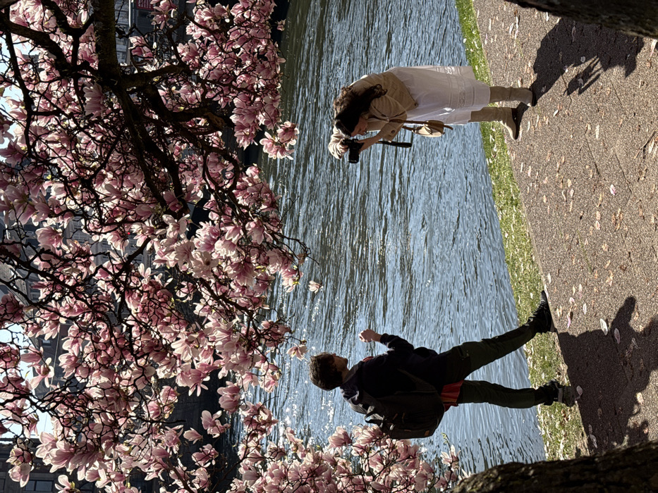 A daytime scene is captured along the Ill River in Strasbourg, France, beneath a canopy of blooming magnolia trees. Two individuals are positioned on a paved pathway adjacent to the river. On the left, a person, dressed in a dark hooded jacket, dark trousers, and a dark backpack, stands facing the river with their right hand slightly raised. On the right, a second person, wearing a light-colored jacket over a white dress and light-colored boots, is actively engaged in photography, holding a black camera to their eye. A small brown purse is slung over their shoulder. The river, exhibiting sunlight reflections on its surface, occupies the midground, bordered by a narrow strip of green grass. The paved path in the foreground is partially shaded and features scattered pink petals from the overhead magnolia blossoms. Distant urban buildings are discernible through the foliage of the magnolia branches, and strong shadows indicate a clear, sunny day.