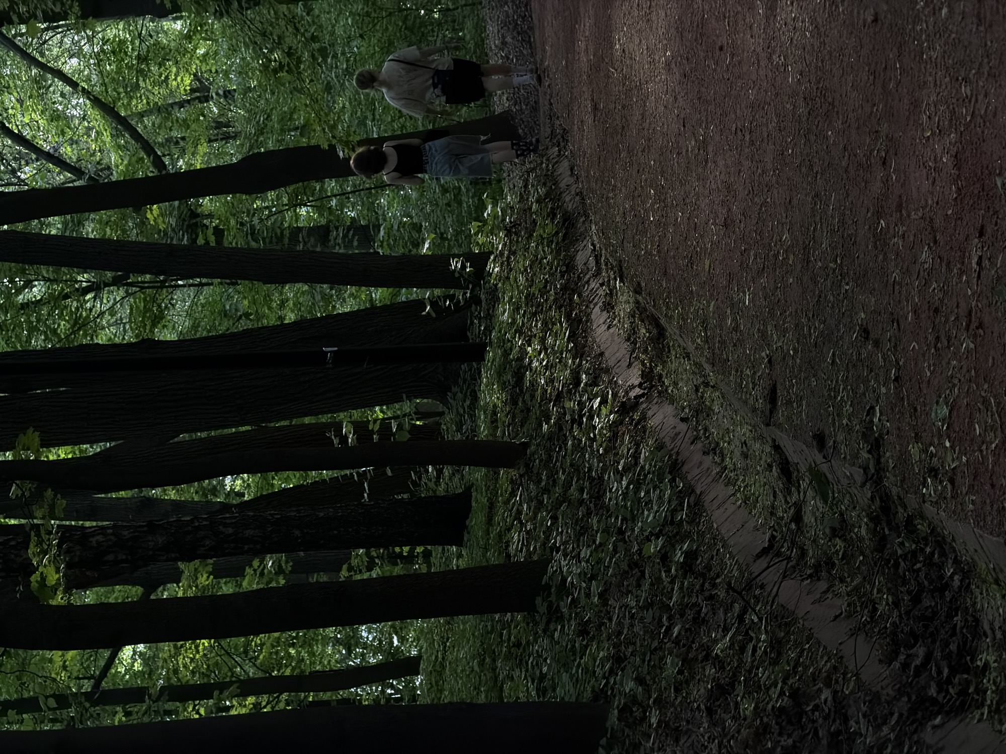 A high-angle shot shows two people walking on a dirt path in a wooded area, possibly in Moscow, Russia. The path takes up the right portion of the frame. On the left side, there are trees, a canopy, and dense foliage. The dirt path is dark and has debris such as leaves along the edges. The first person is wearing a light-colored shirt and dark-colored shorts. The second person wears a dark top and light shorts.