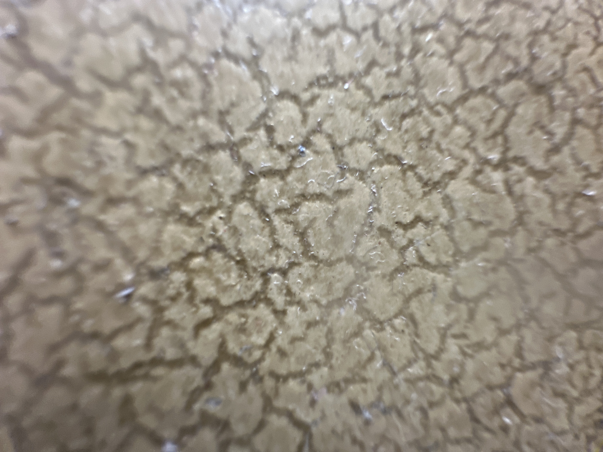 The image is a close-up, abstract view of a textured surface. The surface appears to be a light brown or beige color with a network of darker lines forming a cracked or tessellated pattern. There are small, reflective droplets or areas of moisture visible within the crevices of the pattern, suggesting the surface may be wet or slightly porous. The lighting is diffuse, creating soft shadows and highlights that emphasize the three-dimensional texture. The focus is shallow, with some areas sharper than others, giving the image a slightly dreamy or macro photographic quality. There is no discernible scene, setting, or identifiable objects or people. The context of Belgrade, Serbia, does not provide any visual cues within the image itself. The time of day, weather, emotions, and any visible text are not determinable from the image.