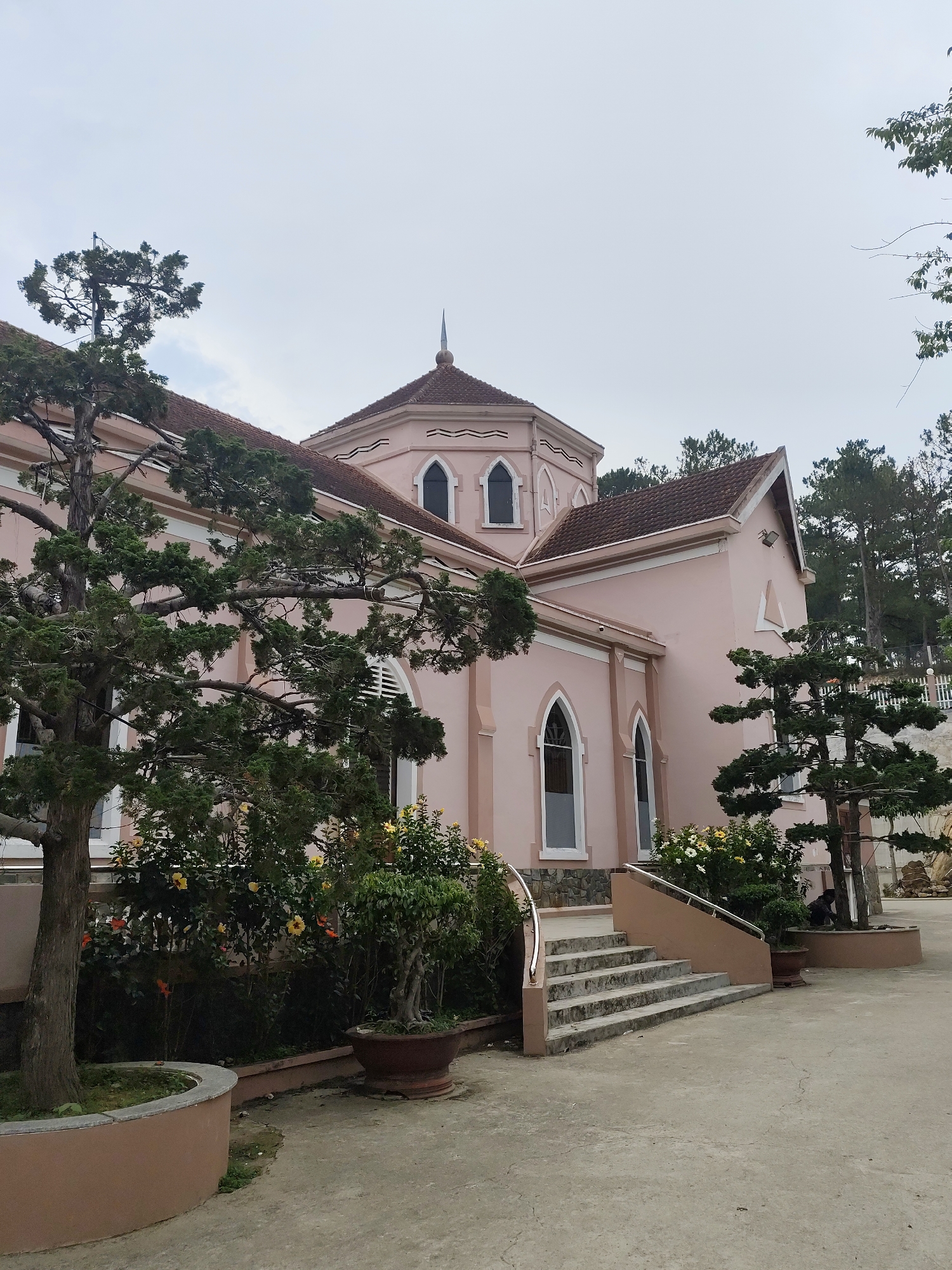A large, pale pink building, likely a church or similar institutional structure, dominates the scene under an overcast sky. The building features a tiled roof, possibly terracotta, and exhibits architectural elements reminiscent of Gothic Revival style, including tall, arched windows with white frames. A distinctive octagonal section rises from the central part of the building, culminating in a small spire. Stone steps with a light-colored handrail lead up to an entrance on the right side of the structure.
The building is surrounded by lush greenery. In the foreground and midground, several large, dark green evergreen trees with gnarled branches provide prominent natural elements. Some smaller evergreen plants are placed in terracotta pots near the steps and along the paved ground. Flowering bushes with yellow and white blooms add touches of color to the landscaping. The immediate foreground consists of a paved, light-colored concrete surface. In the background, a dense stand of taller pine trees suggests a forested environment, consistent with the Lang Biang - Đà Lạt, Vietnam context.
The sky is a uniform, light gray, indicating a cloudy or overcast day, which creates a soft, diffused light over the entire scene. There are no people visible, and no specific activities are taking place, contributing to a serene and quiet atmosphere. No visible text is present in the image.