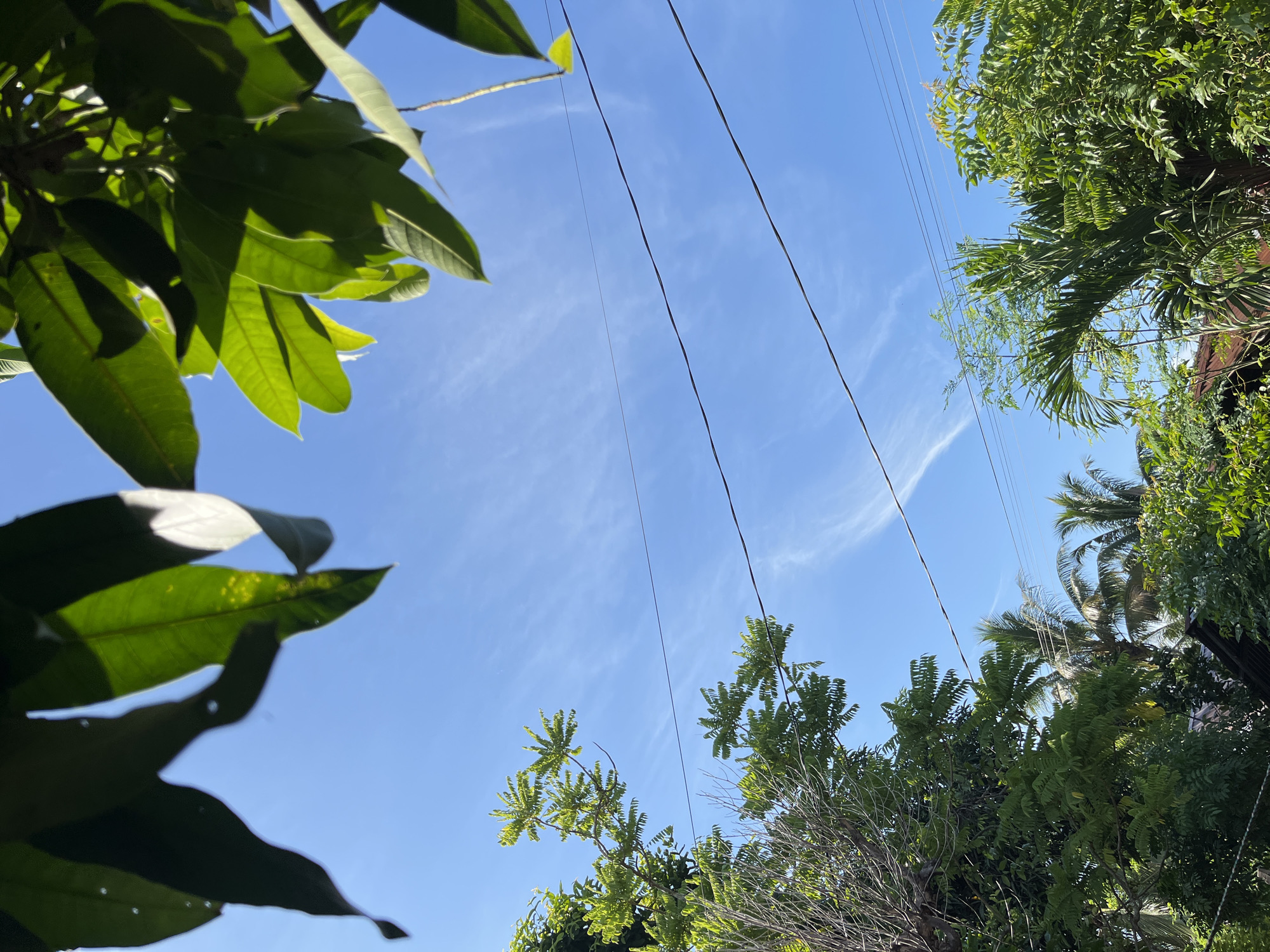 The image shows a bright blue sky with thin, wispy clouds. Overhead, green leaves from trees frame the sky. Several power lines are visible, stretching horizontally across the frame. Below the sky, lush green foliage, including palm trees and other leafy trees, is present. The lower portion of the image reveals the tops of some roofs, suggesting a residential area. The scene appears to be outdoors, likely in a tropical or subtropical climate, and the overall impression is one of a sunny day in a vegetated part of Kruengmate, Indonesia.