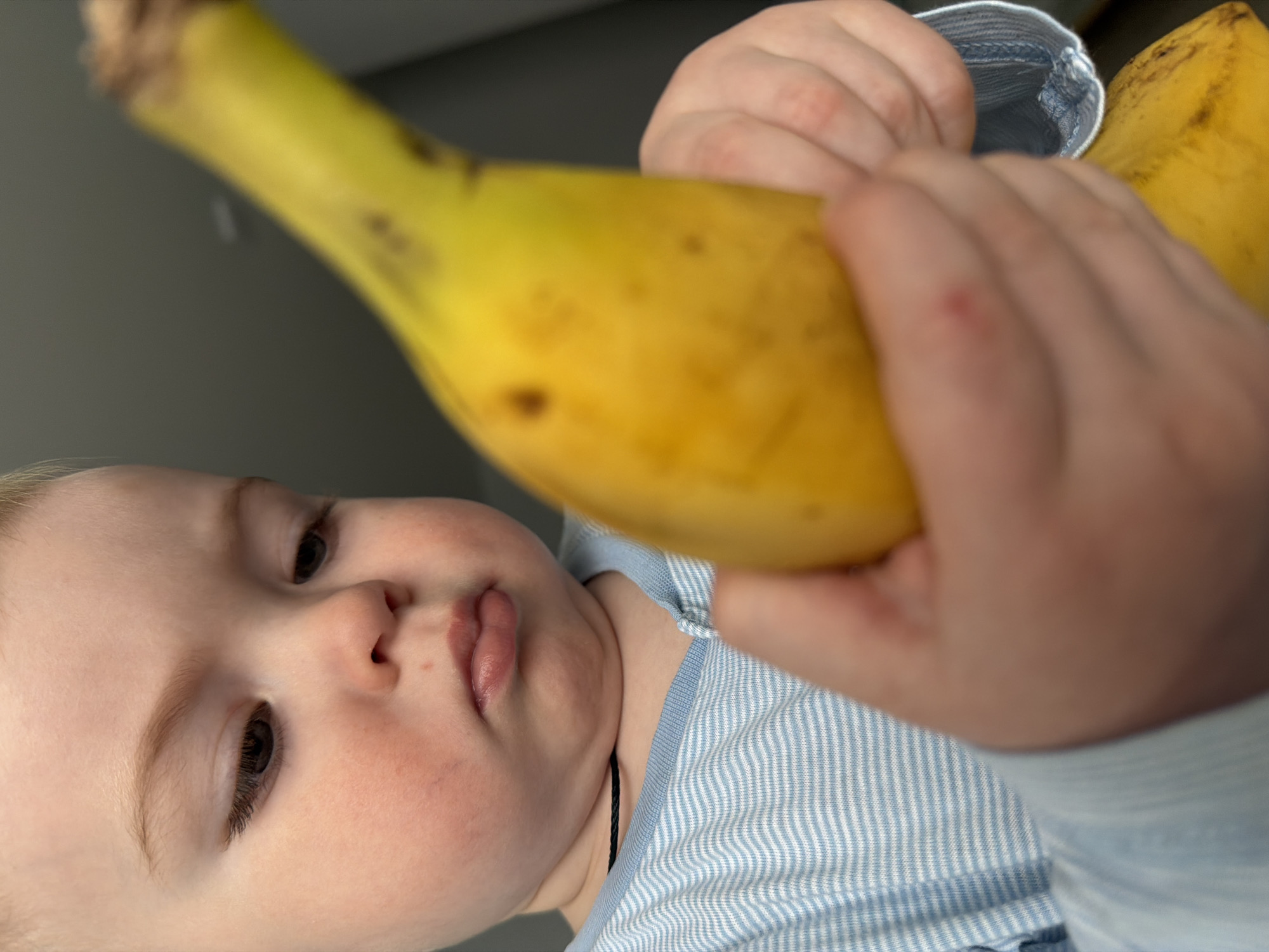 A young child with fair skin and light hair is shown holding two yellow bananas. The child is wearing a light blue and white striped shirt. The background is a solid gray color. The picture appears to have been taken from a slightly low angle. The location is not evident from the image.