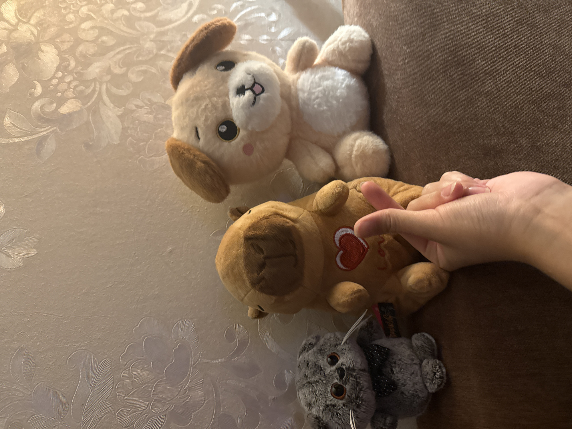A hand is seen interacting with a collection of stuffed animals. The subjects include two plush dogs and a plush cat. One dog is light brown and cream-colored, lying on its back with its paws in the air. The second dog is a darker brown and is lying on its stomach, with a red heart embroidered on its chest. The plush cat is gray and fluffy, with black and white details. They are arranged on a textured surface that appears to be a patterned upholstery, possibly a couch, with a darker brown surface visible on the right. The overall scene is casual and domestic. There is no discernible text visible in the image. The lighting suggests an indoor setting, possibly during the day or evening.