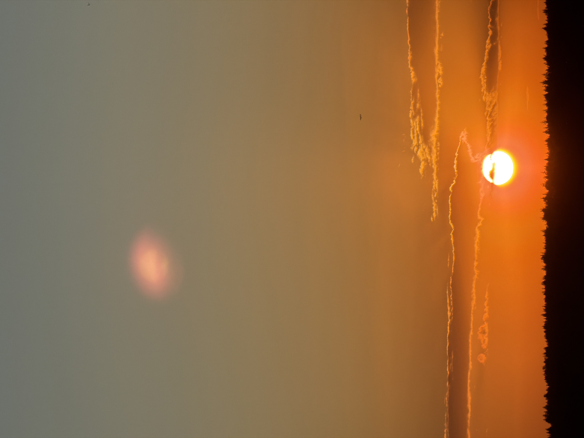 The image depicts a sunset. The sun is a bright, almost white orb setting behind a dark tree line. Vertical streaks of orange clouds stretch upwards from the sun. The sky is a gradient, shifting from orange near the sun to a greyish hue further away. A small dark bird is visible in the upper center of the image. A faint, out-of-focus bright spot is also visible in the lower left quadrant. The location is unidentified.