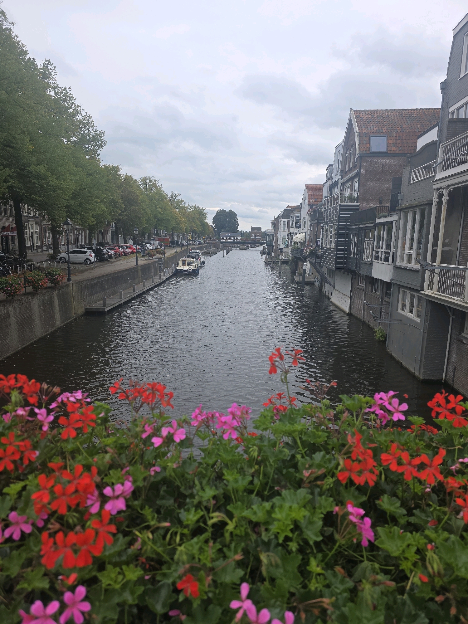 The image captures a picturesque canal scene in Gorinchem, Netherlands, with buildings lining both sides of the waterway. In the foreground, vibrant red and pink geraniums bloom, their colors contrasting with the muted tones of the overcast sky and water. The canal itself is calm, reflecting the surrounding structures. On the left bank, a row of trees shades a sidewalk where cars are parked, and beyond them, historic buildings with traditional Dutch architecture are visible. On the right bank, a closer view reveals multi-story buildings with gabled roofs and balconies, some of which appear to extend over the water. A few boats are docked along the canal, including a small white boat with a yellow awning. The overall atmosphere is serene and tranquil, characteristic of a European canal town.