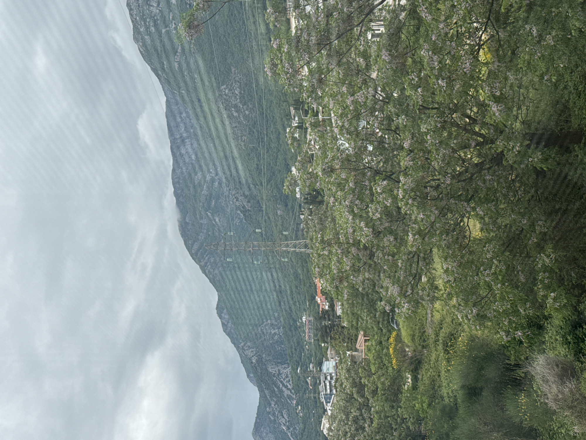 The image shows a mountainside in Zankovići, Montenegro, partially obscured by trees and foliage. A tall electrical transmission tower stands on the mountain slope. Houses and other buildings are nestled amongst the trees at the base of the mountain. The sky is overcast.