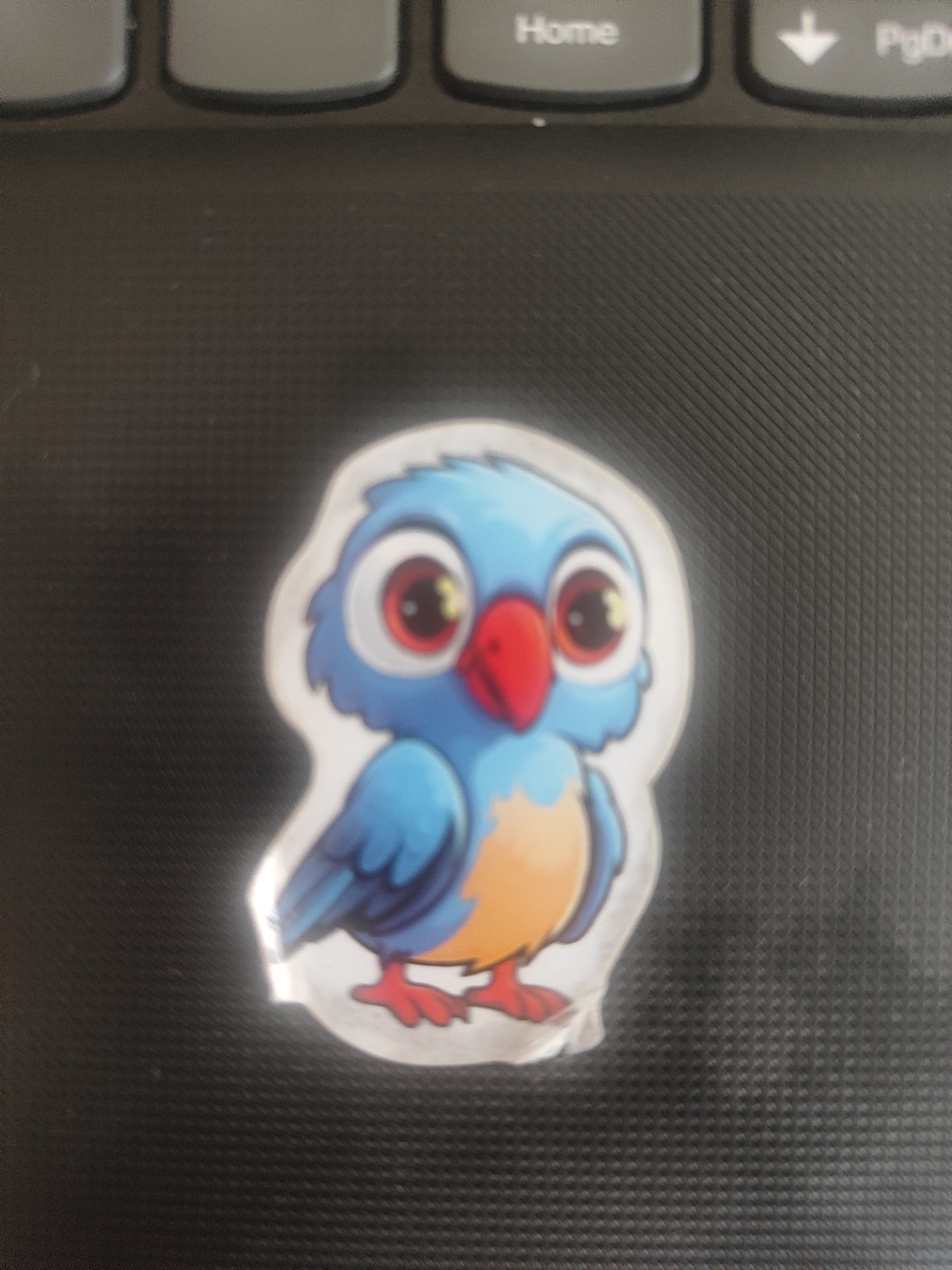 A sticker of a cartoon bird is placed on a black, textured surface, likely a laptop keyboard, given the partial view of keys labeled "Home" and "PgDn" in the background. The bird is predominantly blue with a rounded body, large red and yellow eyes, and a red beak. It has orange on its chest and red feet. The sticker has a white border and appears slightly worn or wrinkled in places.