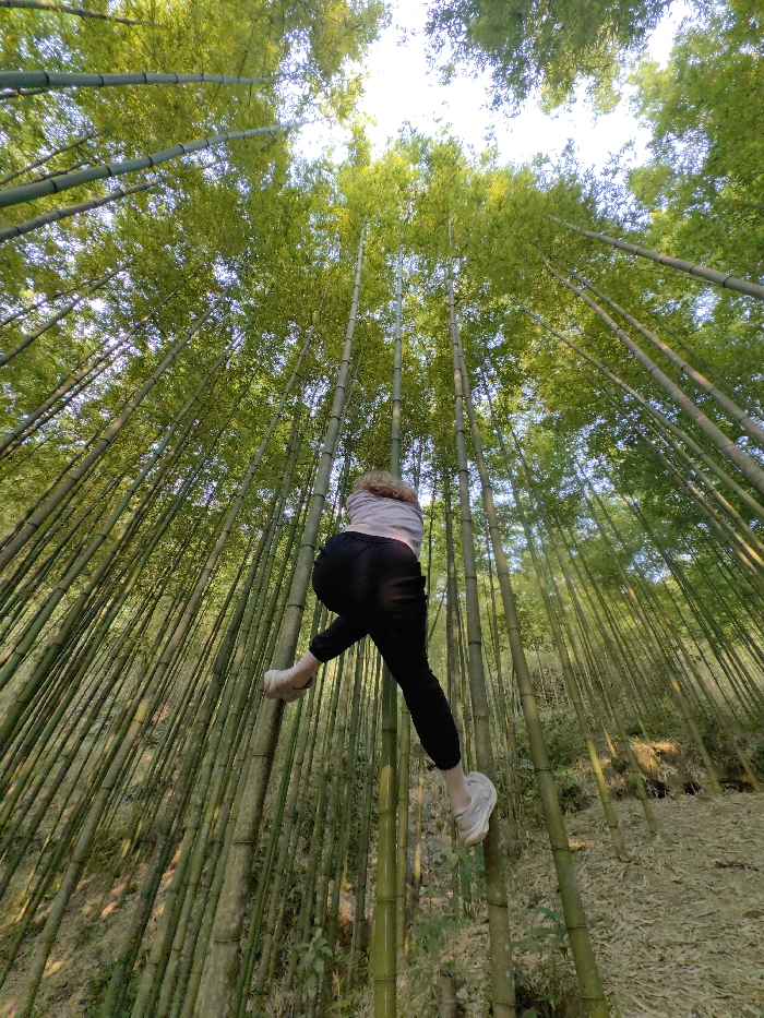 An individual is depicted in a dynamic pose within a dense bamboo forest in the city of Mù Cang Chải, Vietnam. The person, viewed from a low upward angle, wears a light-colored top, dark trousers, and light-colored athletic shoes. Their back and left side are presented to the camera, with their left arm (partially obscured) and left foot engaging a slender bamboo stalk, while their right leg is bent, extending backward and upward. The environment consists of numerous tall, slender green bamboo stalks that ascend vertically towards a bright, overhead sky. Green bamboo foliage is visible at the upper sections of the stalks. The ground beneath the bamboo is visible in parts, covered with dried bamboo leaves and debris, indicating natural forest floor conditions.