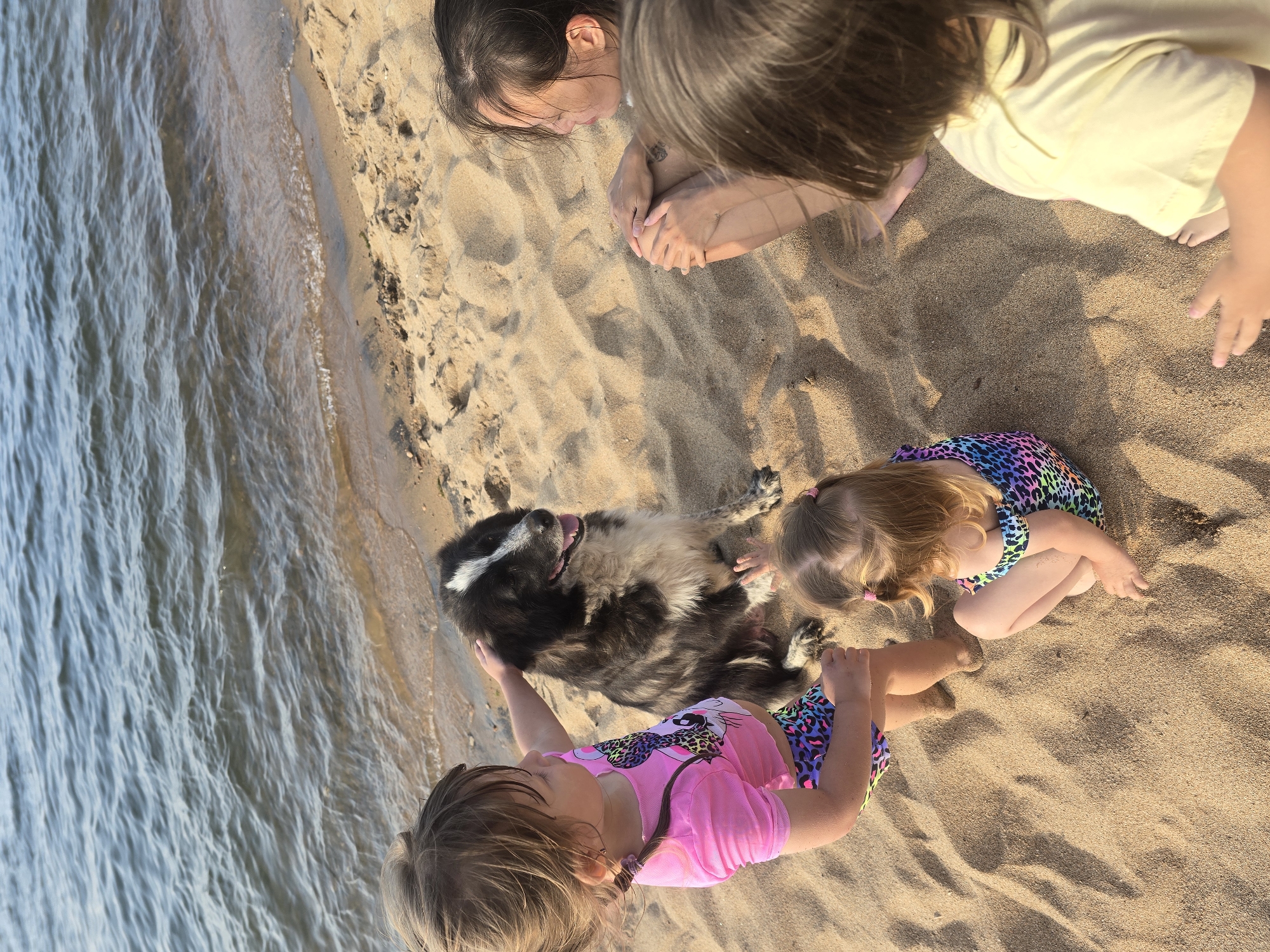 The image depicts a group of people and a dog on a sandy beach next to a body of water. The setting is Maksimikha, Russia, as indicated by the provided context.
There are at least three young children and one adult visible, along with a large dog. One child, wearing a pink top with a graphic print and patterned shorts, is petting the dog. Another child, in a colorful patterned swimsuit, is sitting on the sand. A third child, wearing a yellow shirt, is partially visible from behind. An adult, with dark hair, is sitting on the sand with their knees drawn up. The dog, a black and white breed, is sitting attentively, looking towards the child who is petting it. The dog has its mouth open, suggesting it might be panting or happy.
The environment is a beach with fine, light-colored sand. The water's edge is visible in the background, with gentle waves lapping against the shore. The lighting suggests it is daytime, possibly late afternoon or early morning, given the warm tone of the sand and the way the light falls. The overall scene conveys a relaxed, family-oriented moment at the beach.
