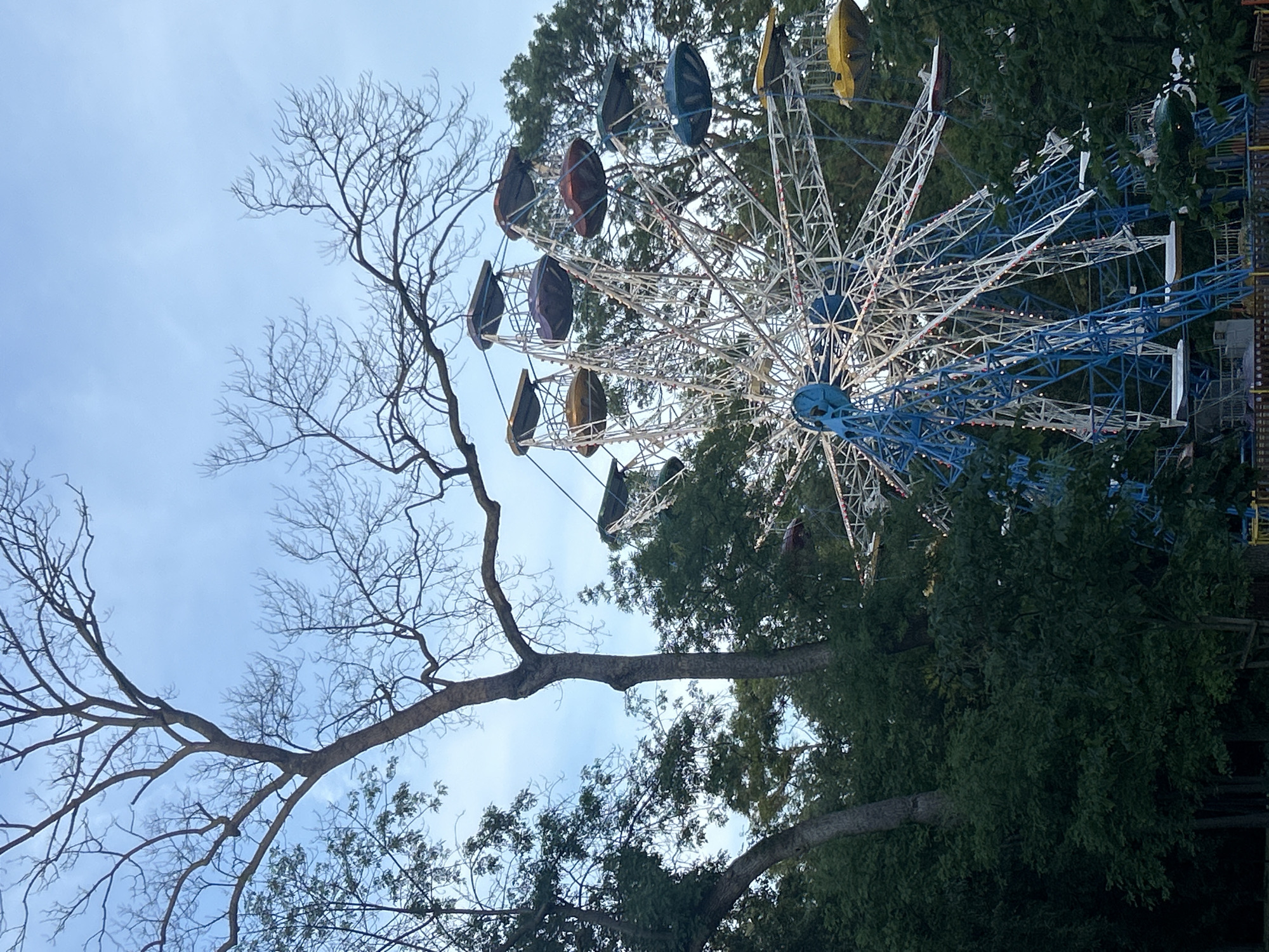 This image depicts a Ferris wheel situated within a verdant, wooded area under a partially clouded, light blue sky in the city of Unknown, Unknown. A large, bare-branched tree dominates the upper left portion of the frame, its dark, intricate branches extending against the sky. To its left and surrounding the lower half of the image are numerous deciduous trees with full, dark green foliage.
The Ferris wheel, the central subject, features a white and blue metal lattice structure. Its gondolas are various colors, including yellow, blue, purple, red, and green, with several visible gondolas appearing empty and stationary. The lower section of the Ferris wheel's base is predominantly blue, while the radiating spokes and outer ring are white. No people are visible interacting with the ride or in the surrounding environment. The scene suggests an amusement park or carnival setting, possibly an older or currently inactive one, integrated into a natural, park-like landscape.