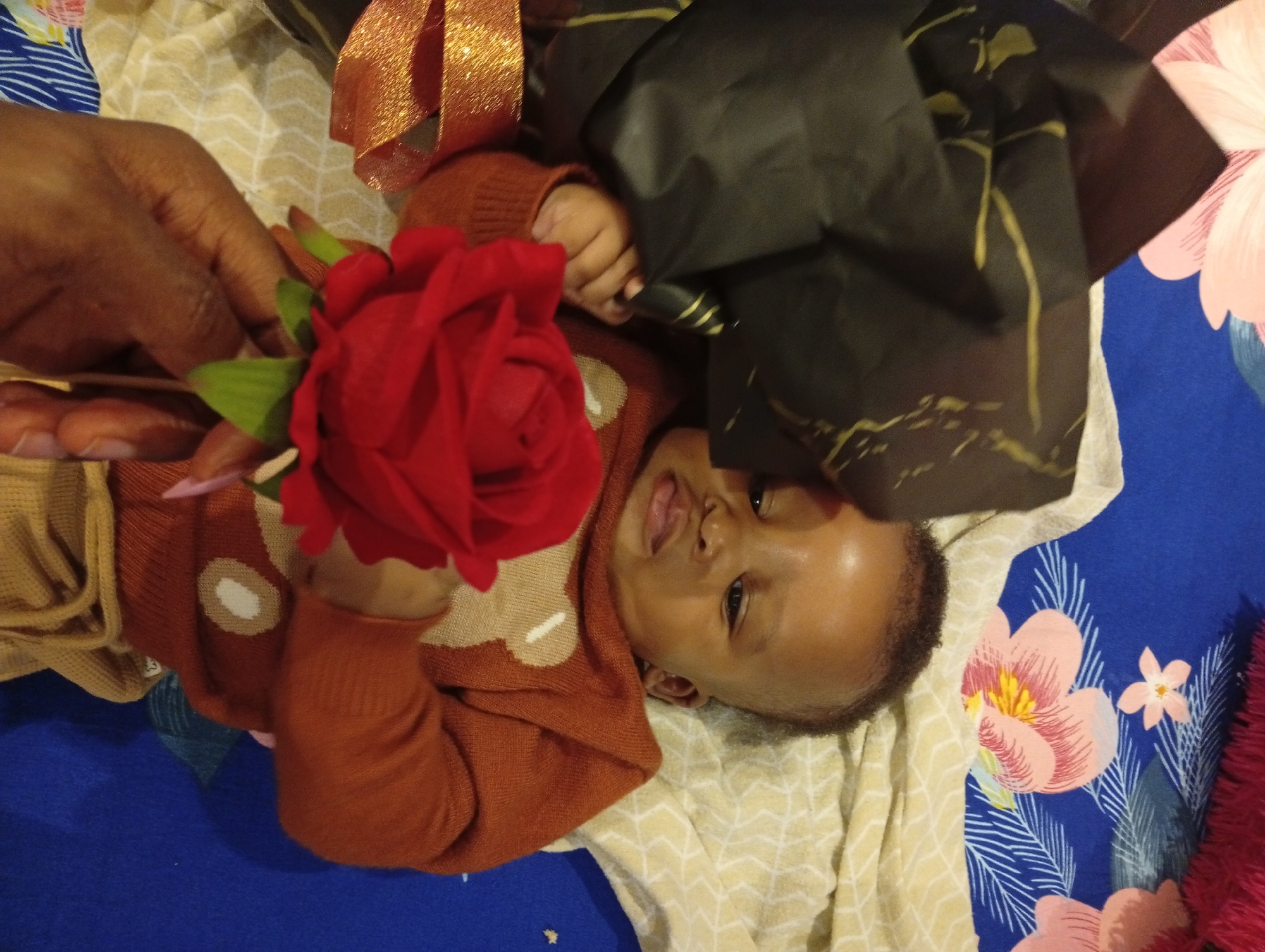 In a domestic indoor setting, likely a bedroom in Abuja, Nigeria, a baby lies on a light-colored, patterned cloth. The baby, wearing a rust-colored sweater with a lighter circular pattern, is positioned on its back, with its head turned to the right. Its mouth is open, with its tongue visible. To the left of the baby, a hand, presumably belonging to an adult, gently holds a red artificial rose with green leaves near the baby's face. The rose appears to be part of a gift or decoration. The background consists of a dark, crumpled material, possibly wrapping paper or fabric, adorned with gold lines, and a blue fabric with a floral pattern, featuring pink and yellow flowers. The lighting is moderate, suggesting an ambient indoor light source.