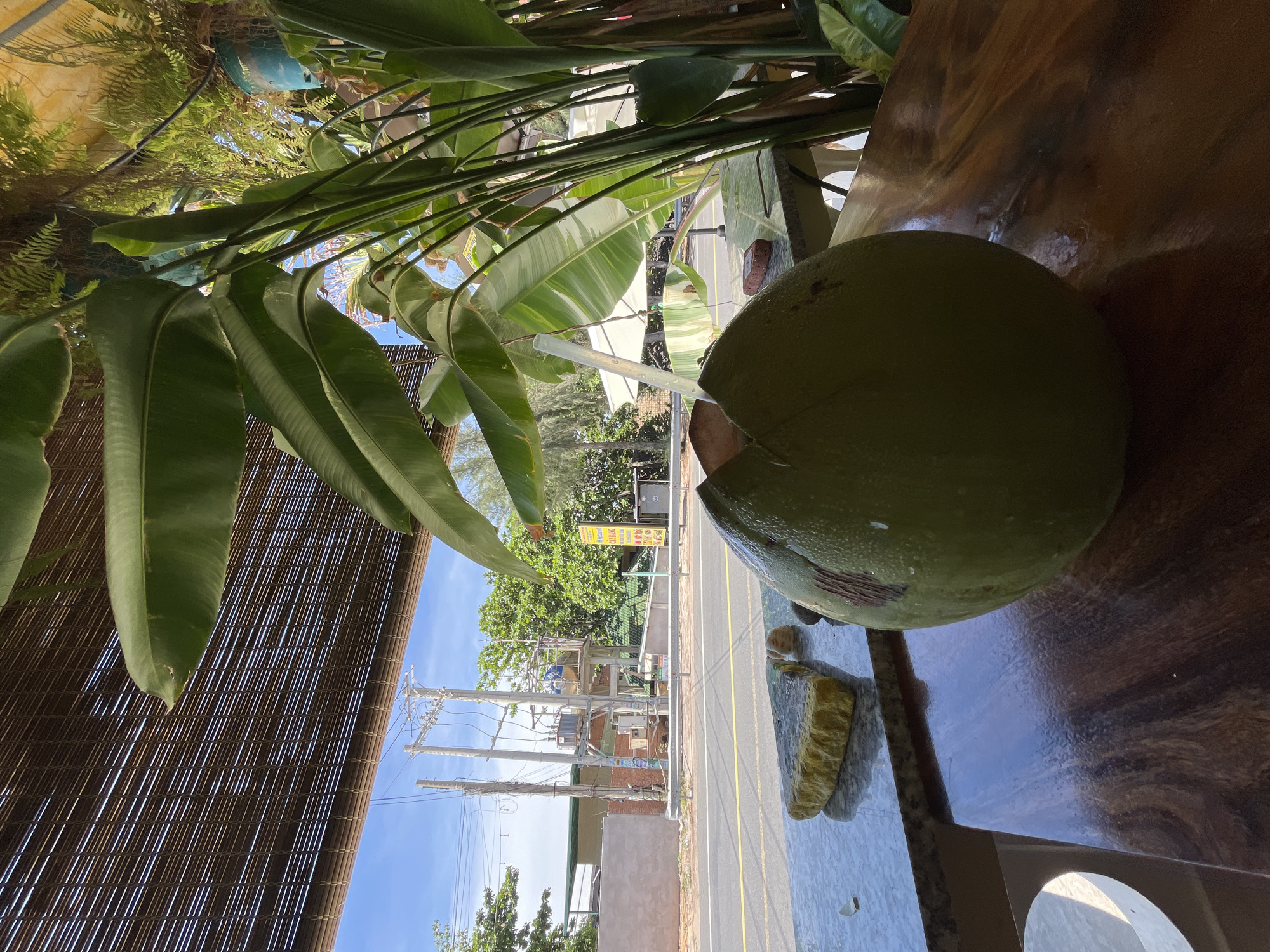A whole green coconut is placed on a polished wooden table in the foreground. Behind the coconut, a granite countertop displays a wedge of yellow-colored food and a few small stones. The scene is viewed from an indoor perspective, looking out through a woven bamboo blind and lush green foliage towards a street. The street is lined with trees, utility poles, and buildings. A yellow sign with Vietnamese text is visible on the right side of the street. The sky is blue with scattered clouds. The location appears to be Phu Thuy Ward, Vietnam.