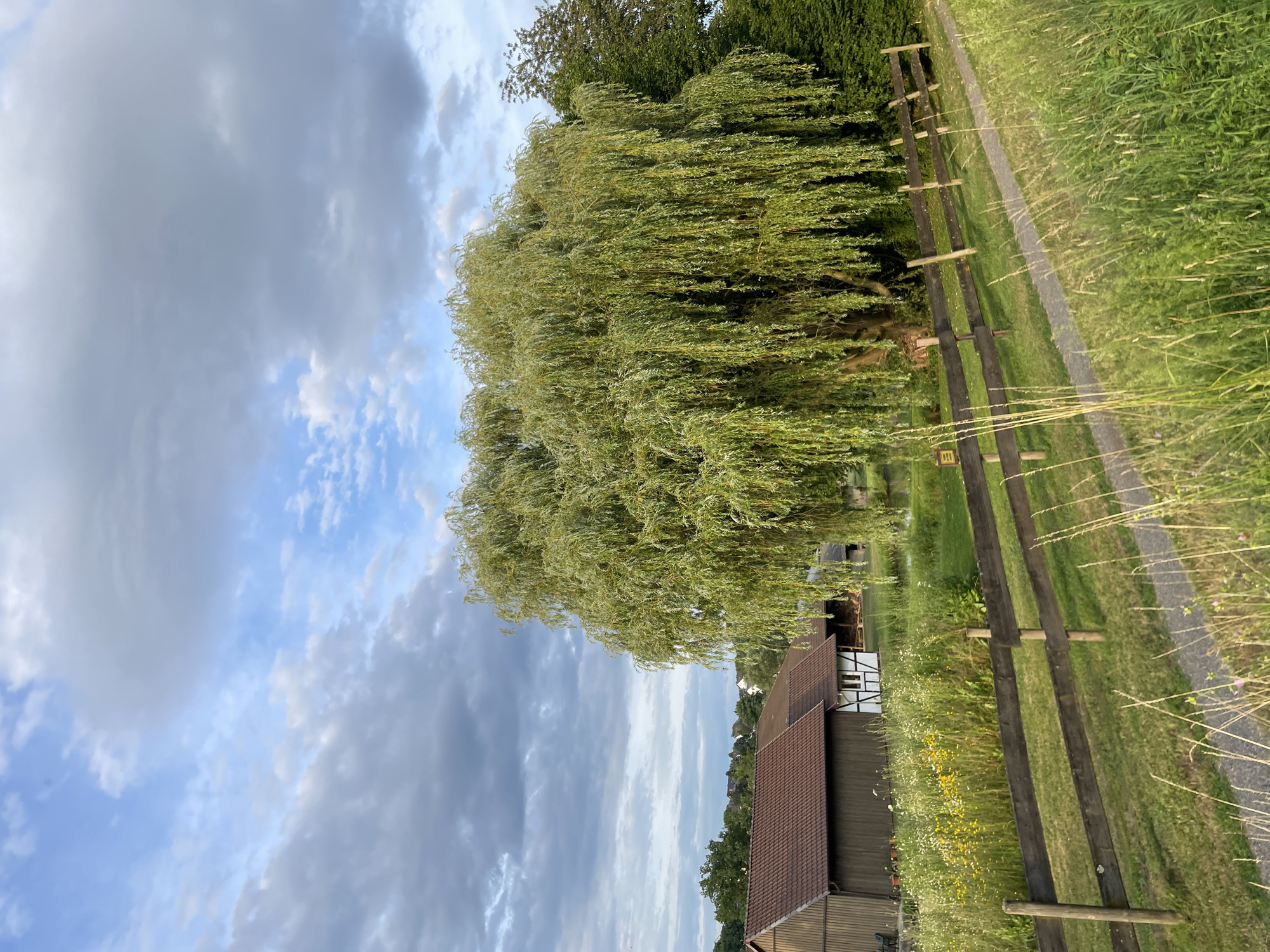 This is a landscape photograph taken outdoors in Neukirchen, Germany. The image depicts a pastoral scene with a large weeping willow tree dominating the center-right of the frame. In the background, to the left of the tree, are several rustic buildings with brown tiled roofs and wooden facades. One building features white half-timbering. A dark wooden fence runs diagonally across the middle ground, separating a grassy area from a path that slopes upwards. The sky above is filled with a mix of blue sky and grey clouds. The foreground is a grassy field with tall grasses and wildflowers.