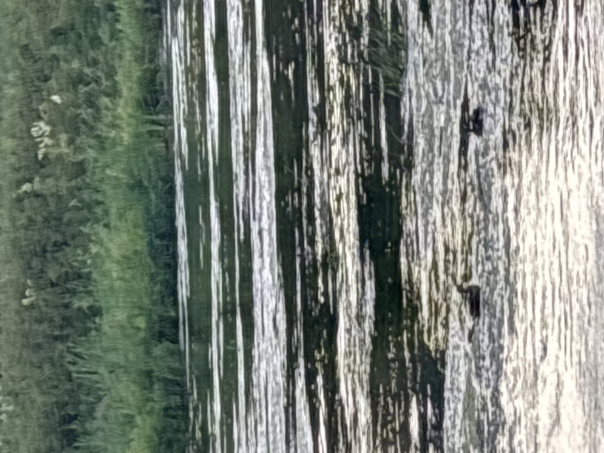 The image depicts a body of water with a grassy bank in the background. Two ducks are visible swimming in the water. The water's surface is textured with horizontal lines of light and dark, suggesting ripples and reflections. The grassy bank is dense and appears to be a natural landscape, possibly along a river or lake. The scene is likely captured in an outdoor environment within Zvenigorod, Russia, given the context.