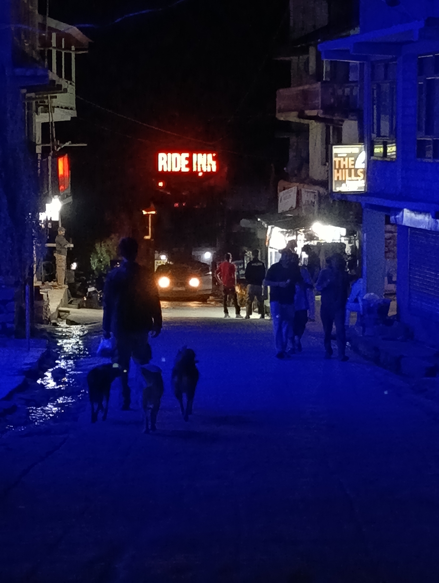 In Barheta, India, at night, a street scene unfolds under artificial lighting. A neon sign glows red, displaying the words "RIDE INN." Nearby, another sign reads "THE HILLS." Several individuals are walking on the street, some are silhouetted against the light. Three dogs are also present, walking near the people. The street appears wet and reflects the blue light. Buildings line the street, some with illuminated windows. The overall atmosphere is dimly lit and somewhat urban.