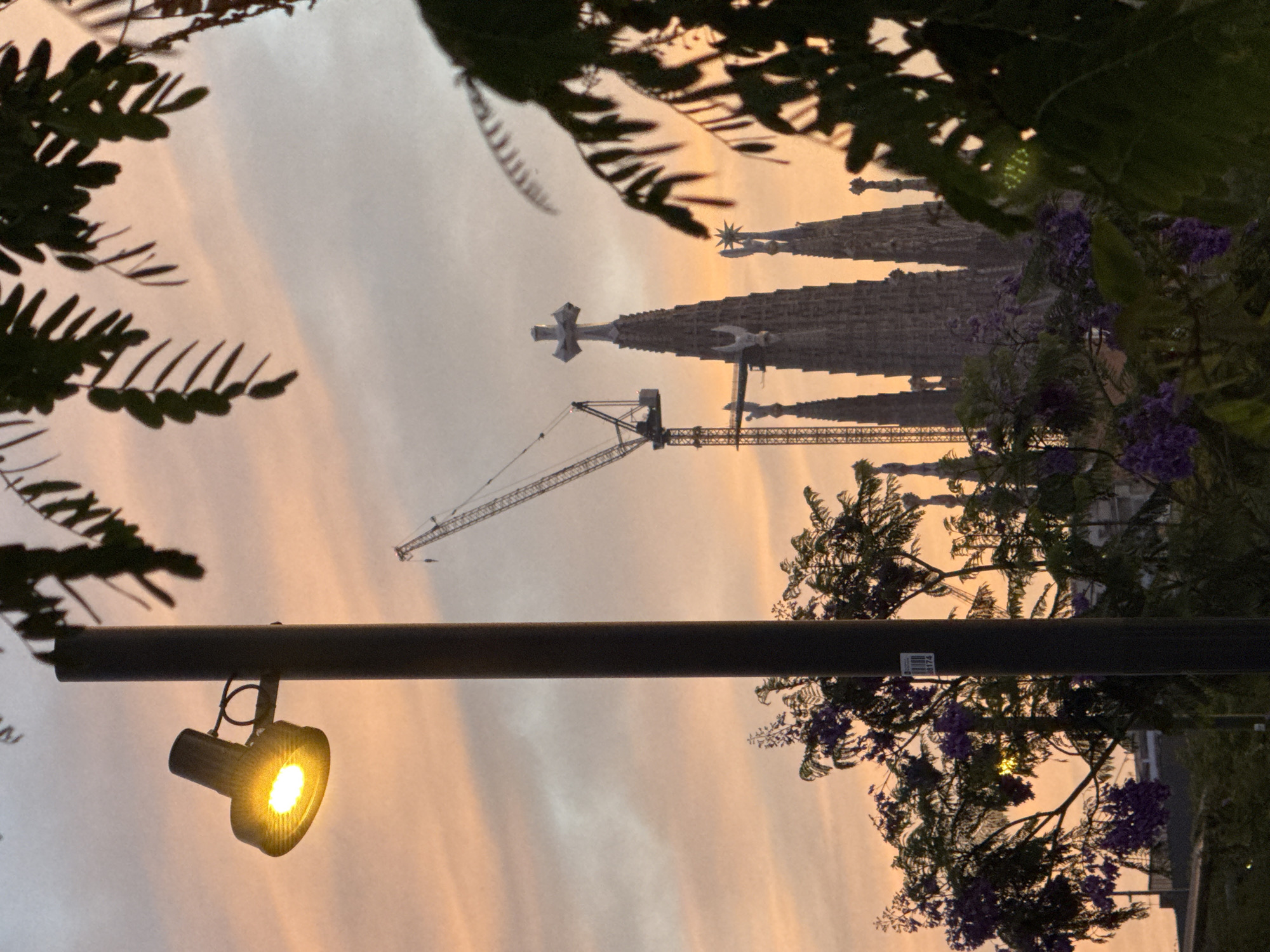 The image presents an urban dusk scene in Barcelona, Spain, dominated by a sky displaying hues of orange, pink, and grey. A prominent dark vertical pole occupies the left foreground, supporting an illuminated streetlamp emitting warm yellow light. Dark green foliage with visible leaves partially frames the top and right edges of the image. Below the streetlamp, trees with clusters of purple flowers are visible, obscuring parts of the background. In the mid-ground, the architectural spires of the Sagrada Familia cathedral rise, featuring distinct crosses and stars atop several towers. Adjacent to the cathedral's spires, multiple construction cranes are visible, indicating ongoing work. No individuals are present in the scene.