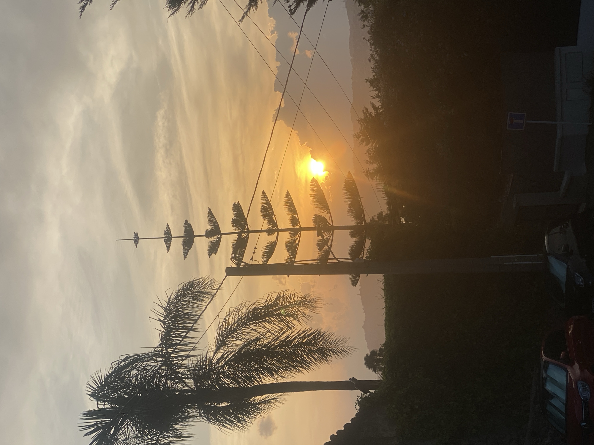 A sunset is captured in Antibes, France, with the sun partially obscured by clouds and trees. Silhouetted against the warm, orange sky are a palm tree and a tall, spire-like tree. In the foreground, a wall covered in ivy and two parked cars are visible. The overall scene depicts a tranquil evening in a Mediterranean setting.