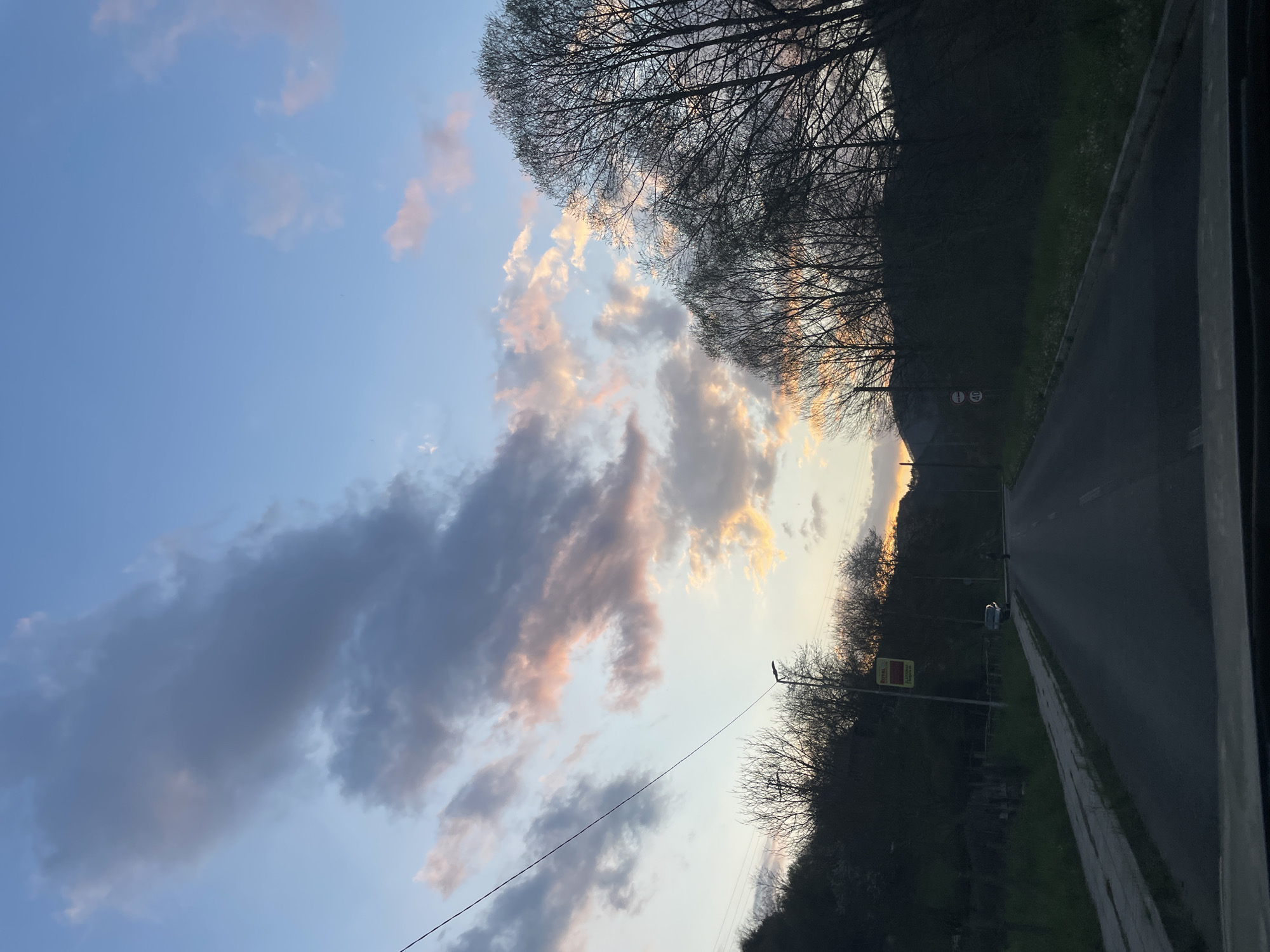 A landscape photograph shows a road in the city of Zlatograd, Bulgaria, at sunset. The sky is blue with pink and gray clouds. Trees with bare branches line the sides of the road. There is a speed limit sign on the right side of the road. The road is asphalt and appears to be well-maintained. The image is taken from inside a vehicle.
