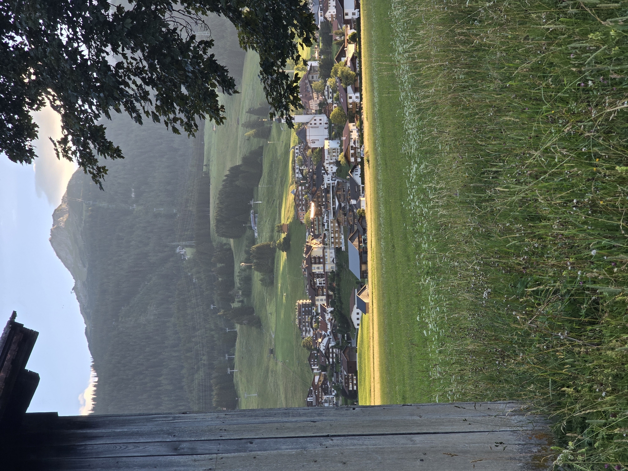 The image captures a picturesque village nestled in a valley, likely Lermoos, Austria, under a soft, golden sunset glow. In the foreground, a weathered wooden structure, possibly a shed or barn, stands to the left, its rough-hewn planks creating a rustic frame. Adjacent to it, a meadow of tall, green grass is dotted with small white wildflowers and hints of other blooms, swaying gently.
Beyond the meadow, the village unfolds with its characteristic Alpine architecture. Buildings with white facades, red-tiled roofs, and dark wood accents are clustered together, creating a charming, dense settlement. A prominent white church with a tall spire stands at the heart of the village, its steeple a focal point against the backdrop of the mountain. The village is situated on a gentle slope that transitions into a verdant hillside.
The middle ground is characterized by rolling green hills, some of which are covered in dense evergreen forests. Numerous ski lift poles and cables traverse the slopes, indicating the area's suitability for winter sports, even in the warmer season. Further in the distance, a majestic mountain peak dominates the skyline, its rugged slopes illuminated by the setting sun, casting long shadows. The sky above is a soft blue, with a few wispy clouds catching the warm light. The overall impression is one of serene beauty and tranquil rural life in a stunning mountain setting.