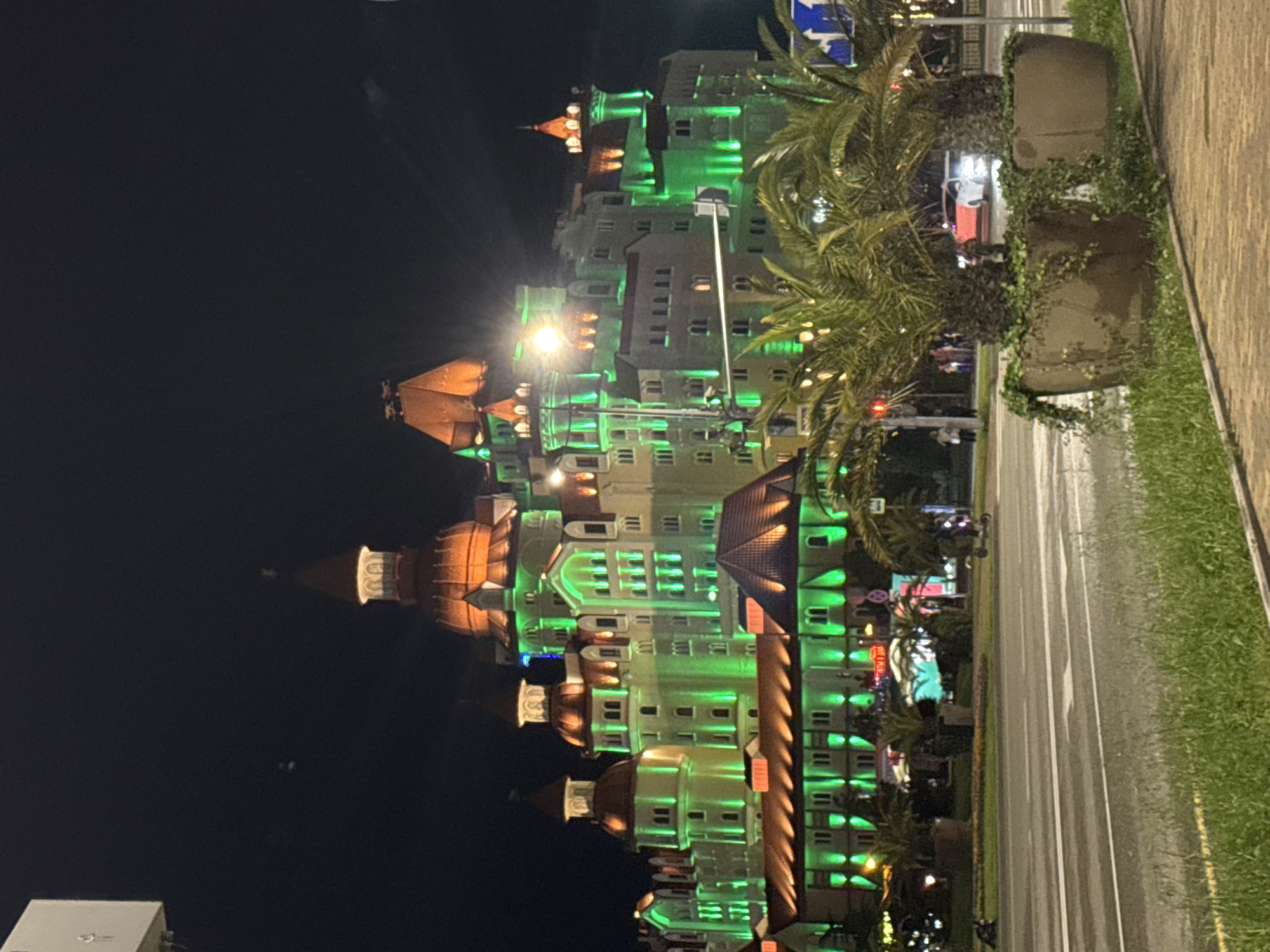 At night in Sirius, Russia, a multi-story building with a series of interconnected towers and domes is illuminated with green lights. The building has multiple windows on each floor. Palm trees are positioned along the side of the road. A road runs parallel to the building. Plant pots with greenery and vines are present on the right side of the image.