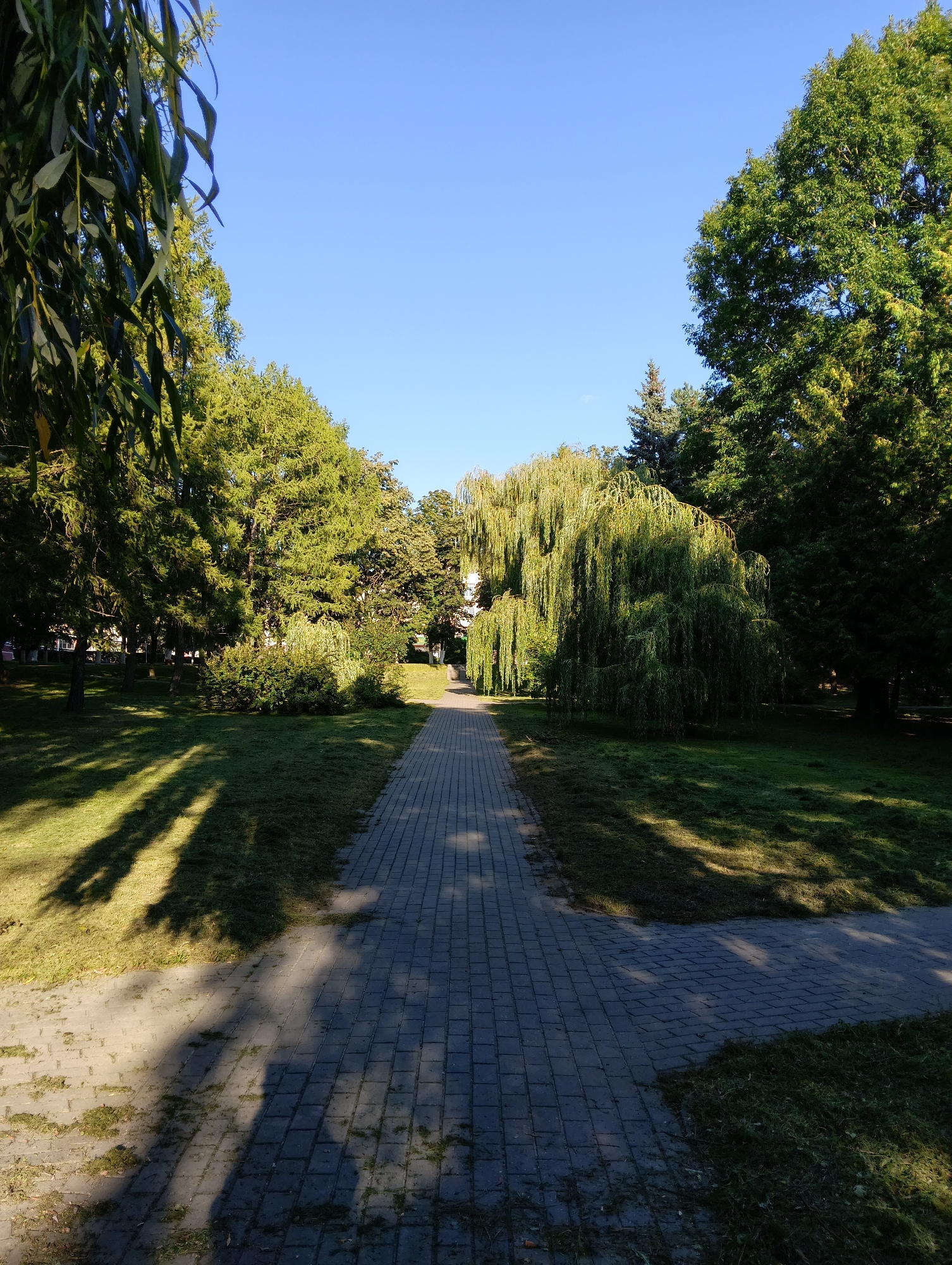 The image depicts a paved walkway in a park on a clear day, with a bright blue sky overhead. Tall, lush green trees line both sides of the walkway, with their branches casting long shadows across the grass. On the left, a weeping willow tree with long, drooping branches partially obscures the view. On the right, another weeping willow tree stands prominently, its leaves illuminated by the sun. The walkway is made of grey rectangular paving stones and is lined with cut grass. In the distance, at the end of the walkway, a building with a white facade can be seen, possibly a historical structure. The scene suggests a peaceful, well-maintained urban park. This park is located in the city of Hrodna, Belarus.