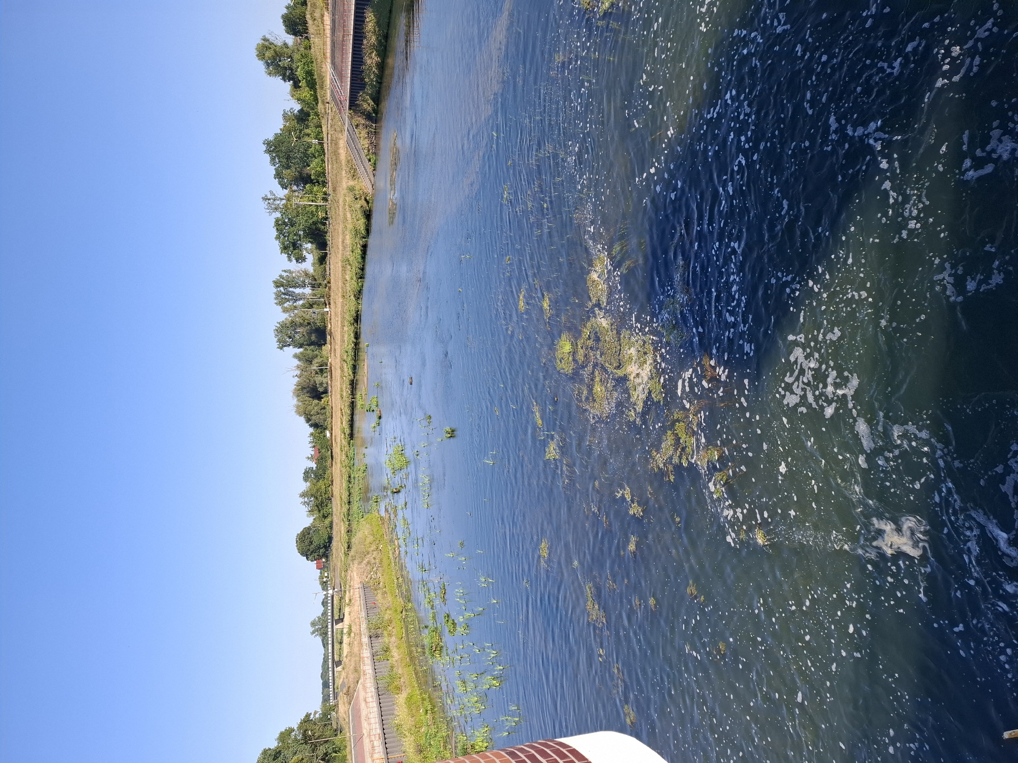 The image depicts a wide, calm river with patches of aquatic vegetation and some foam on the surface. The riverbanks are lined with grassy areas and trees under a clear blue sky. In the background, a bridge spans the river, and buildings can be seen in the distance. The scene appears to be a natural or semi-natural environment within a town. Based on visual cues like the architecture of the bridge and the general landscape, the location is likely Lewin Brzeski, Poland. The image captures a serene, daytime scene of a river in a rural or suburban setting. There are no people or specific actions depicted in the image.