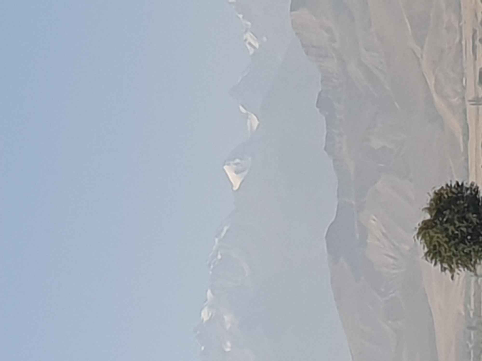 The image depicts a panoramic view of a mountainous landscape under a hazy, pale blue sky. In the foreground, a solitary tree with dense, green foliage stands on a slightly elevated slope. The tree is wind-swept, with its branches appearing to sway. Beyond the tree, rolling hills and valleys stretch into the middle ground, characterized by arid, light brown terrain with visible erosion patterns and some sparse vegetation. In the background, a prominent mountain range rises, with some of its peaks capped with snow, suggesting a significant altitude. The mountains are rendered in muted tones, softened by atmospheric haze. The overall impression is one of natural, undeveloped scenery, likely in a rural or remote mountainous region. The provided context suggests this scene is located in Leninskoye, Kyrgyzstan, a region known for its mountainous terrain. No people or specific structures are clearly identifiable in the image, emphasizing the natural environment.
