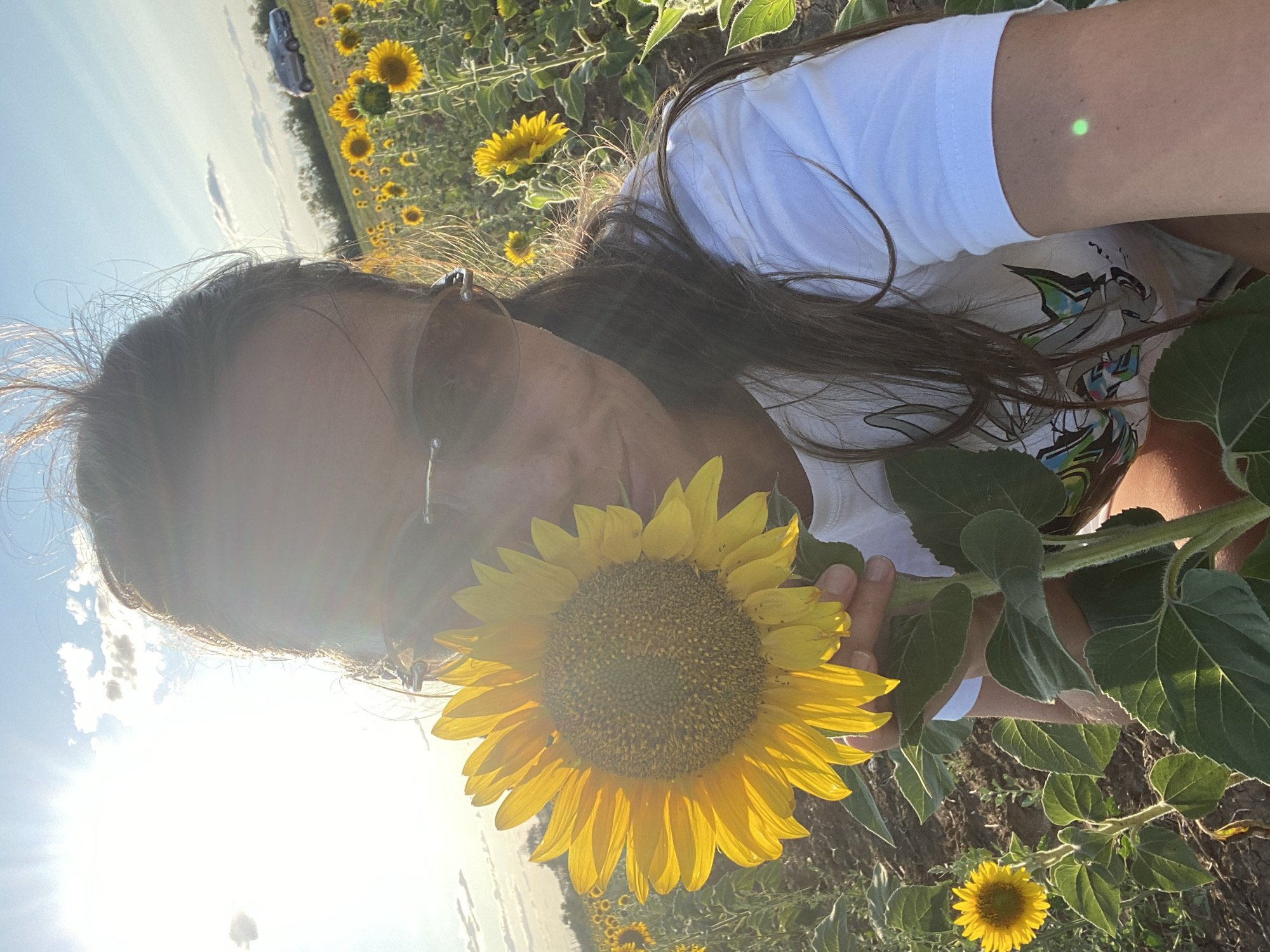 A woman is in a field of sunflowers, holding a large sunflower in front of her face. She is wearing a white t-shirt and sunglasses. The sun is shining brightly, and there are some clouds in the sky. In the background, there is a car parked on a hill. The image appears to have been taken in Morozovsk, Russia, a city known for its agricultural landscape and sunflower cultivation.