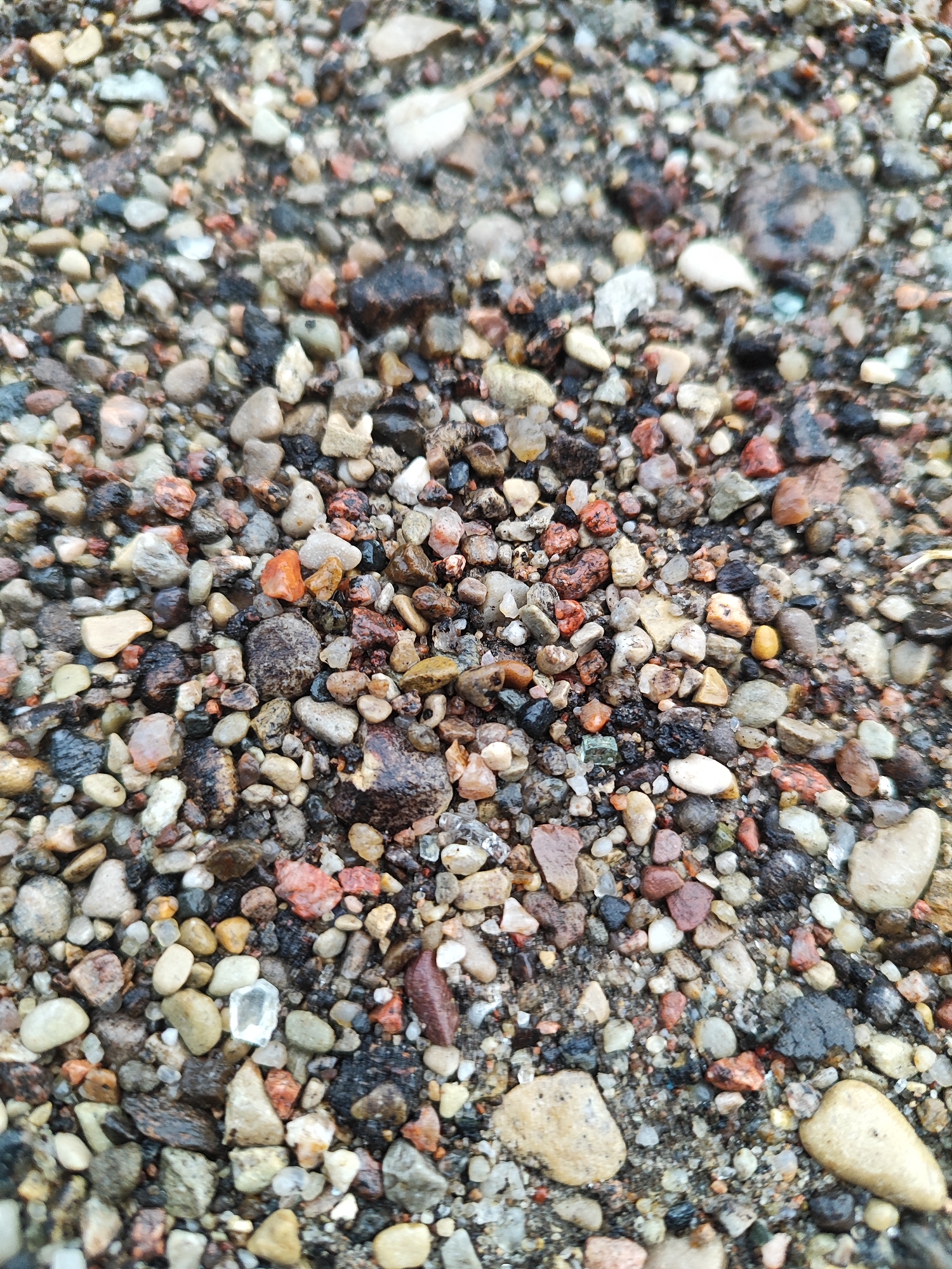 The image is a close-up, high-angle shot of gravel, appearing to be wet. The gravel is composed of small, rounded stones of various colors, including white, gray, brown, black, and reddish-orange. Some stones have a glossy sheen, suggesting they are wet or possibly coated in mud. The texture is rough and uneven, typical of a path or ground surface. The lighting is diffused, casting no harsh shadows. The scene is devoid of any human presence or identifiable landmarks, making it impossible to determine a specific location within Hrodna, Belarus, or any other urban environment. The image focuses solely on the granular composition of the ground.