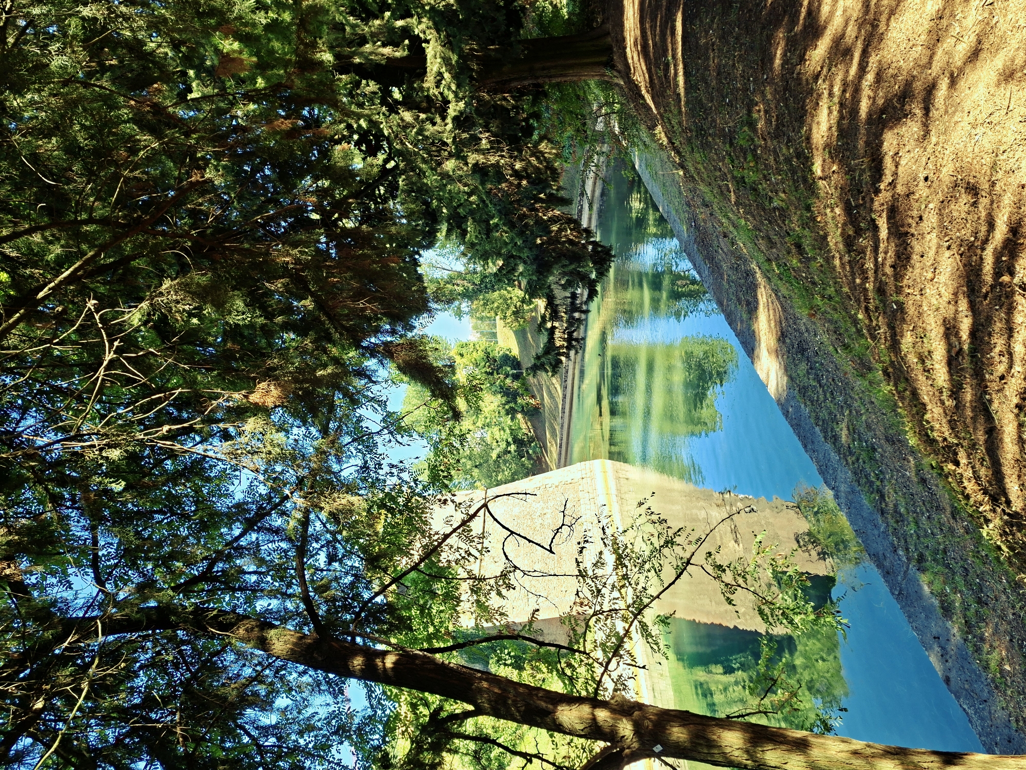 This image depicts a picturesque scene along a canal or moat in Peschiera del Garda, Italy. The water, a vibrant turquoise, reflects the surrounding lush greenery and the imposing stone structure of a fortress wall. The fortress wall, constructed from weathered, light-colored stone blocks, forms a prominent diagonal feature across the left side of the frame. Its angled construction suggests a defensive fortification.
Overhanging the canal and the fortress are the branches of mature trees, their leaves creating a dappled canopy that casts shadows on the water and the path. A thick tree trunk, with rough bark, stands in the foreground on the left, its branches extending towards the center. On the right, the bank of the canal transitions into a sloped, grassy area covered with dry leaves and pine needles, bathed in sunlight and dappled with shadows from the trees above.
The environment appears serene and well-maintained, characteristic of historical sites. There are no people visible in the frame, and the scene focuses entirely on the natural elements and the architectural remnants. The overall impression is one of natural beauty harmoniously integrated with historical architecture, likely a park or a defensive perimeter of the fortress that is now a public space.