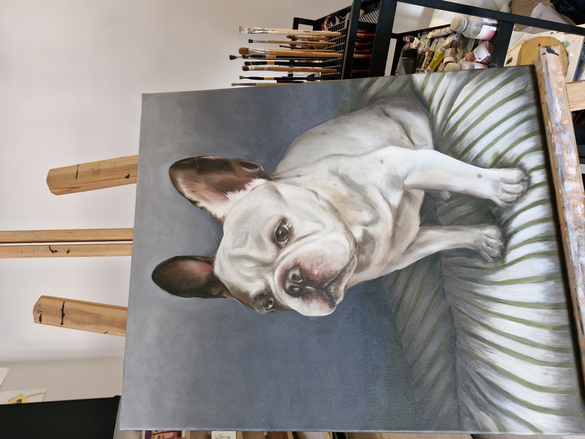 An oil painting of a French Bulldog is prominently displayed on a wooden easel in what appears to be an artist's studio. The painting features a white French Bulldog with dark brown ears, depicted lying on a striped cushion composed of green and white bands. The dog gazes directly out from the canvas with large, dark brown eyes and a distinct pinkish-brown nose. Its fur is rendered with subtle shading, and one of its front paws is visible, showing a small brown spot. The background within the painting is a solid, muted gray.
The easel itself is made of light-colored wood, with visible crossbars supporting the canvas. Surrounding the painting, various art supplies are present, indicating an active creative space. In the upper right section of the image, a black metal organizer holds an array of paintbrushes of different sizes. Below this, glimpses of paint tubes and bottles can be seen. The overall lighting suggests an indoor setting, likely an art studio. No people are visible, and no discernible text is present on the painting or surrounding objects. The dog's expression appears calm and attentive.