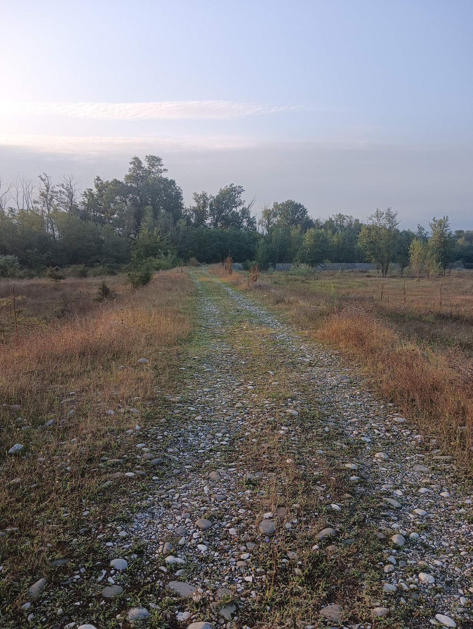 An outdoor vertical shot captures a gravel path leading into a wooded area under a pale blue sky with wispy clouds. The path is covered in small, varied grey stones and is flanked by dry grass and sparse green vegetation. To the left, the grass is taller and browner, while to the right, it is shorter and greener. In the distance, a dense line of trees forms a backdrop, with some lighter green foliage visible amongst the darker trees. The sky above is a soft, hazy blue, with horizontal bands of light clouds creating a serene atmosphere. The overall impression is one of a natural, undeveloped landscape.