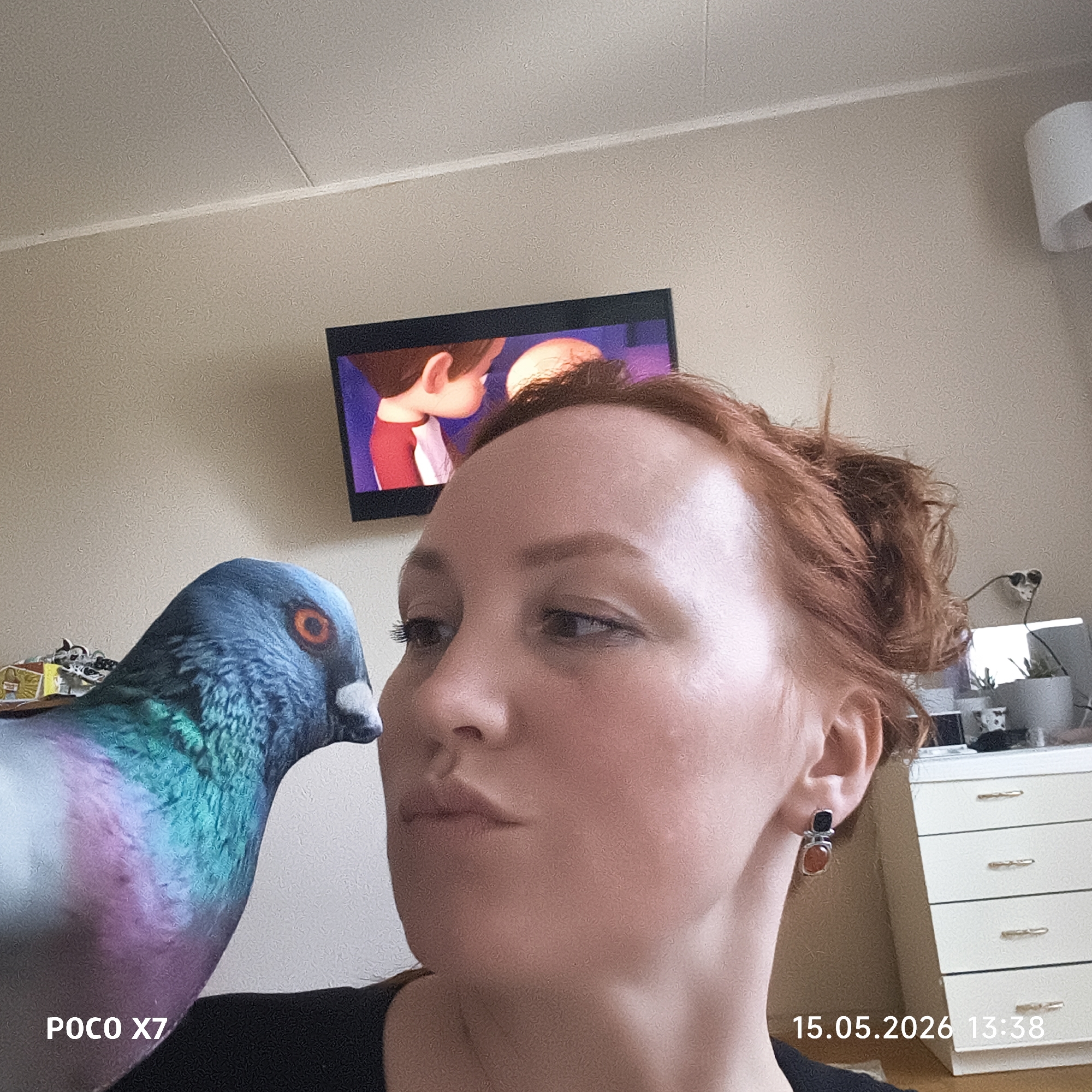 A woman with red hair poses for a selfie with a pigeon. The background includes a wall-mounted television displaying a cartoon image, a white dresser, and a wall painted in a light beige color. Text at the bottom left indicates "POCO X7," while the bottom right displays "15.05.2026 13:38." The location in the city of Chaikovsky, Russia, cannot be confirmed based on visual information.