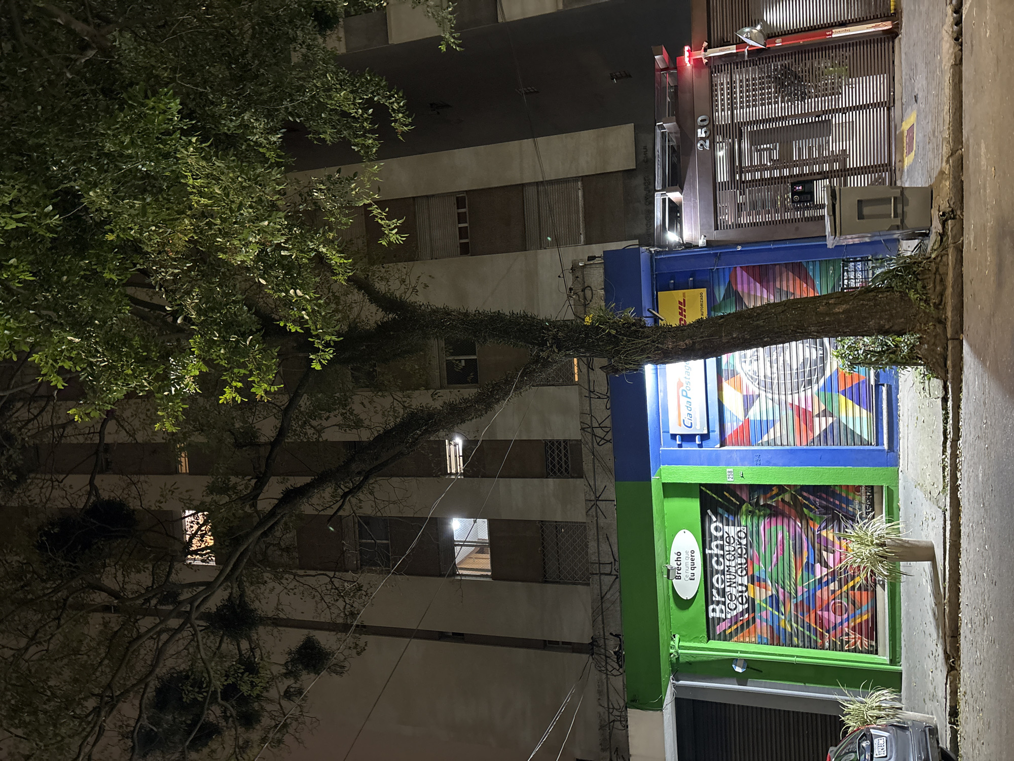 This image captures a street scene at night in São Paulo, Brazil, likely in a commercial or mixed-use area. A large tree with dense foliage stands prominently in the foreground, partially obscuring a multi-story building behind it. The building has a light-colored facade with multiple windows, some illuminated from within, and vertical darker bands.
At the street level, there are two adjacent storefronts. The one on the left is painted bright green and features a rolling metal door covered in a vibrant, abstract mural with streaks of red, orange, yellow, green, blue, and purple. An oval sign above the door reads "Brechó Ce num que Eu quero." The storefront on the right is painted blue and also has a rolling metal door with a similar colorful, abstract mural. Above this door, a sign reads "Cia da Postal," indicating a postal service or shipping business, with the DHL logo visible.
To the right of the blue storefront is a brown metal gate with the number "250" displayed above it. A red light is illuminated at the top right corner of the gate. A grey trash receptacle is placed on the sidewalk in front of the gate. The street itself is paved, and a dark-colored car is partially visible on the left side of the frame. Two potted plants with tall, grassy foliage are placed in front of the green storefront. The overall atmosphere is nighttime, with artificial lighting from the buildings and street creating shadows and highlighting the colors of the murals.