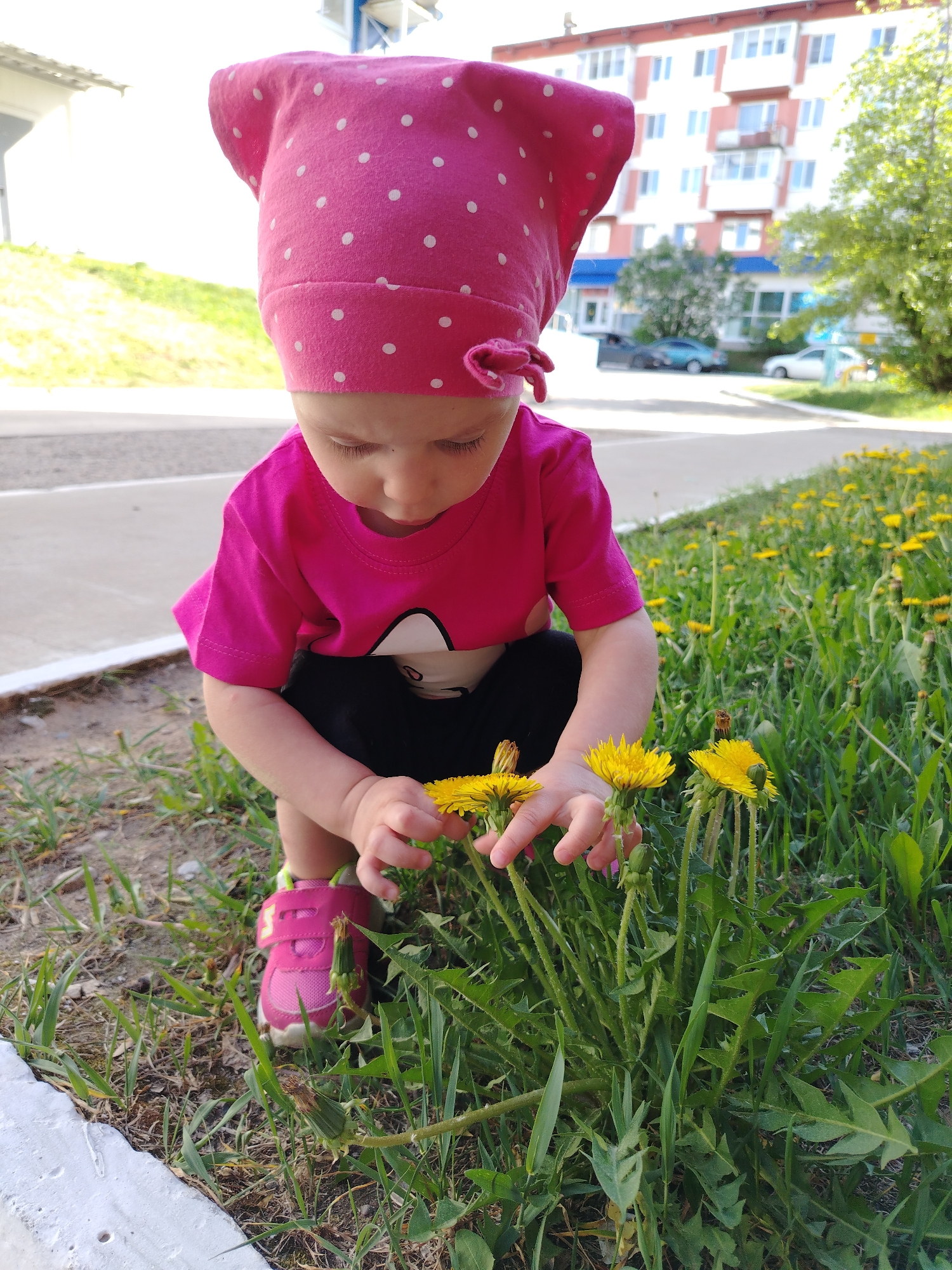 A young child is crouched down, intently examining a cluster of dandelions growing in the grass. The child is wearing a pink t-shirt, dark shorts, pink shoes, and a pink bandana with white polka dots. The child is located near a concrete curb or border. The background includes a multi-story apartment building with light-colored siding and blue trim, along with trees and parked cars. The location is in a residential area, presumed to be in the city of Chaikovsky, Russia.