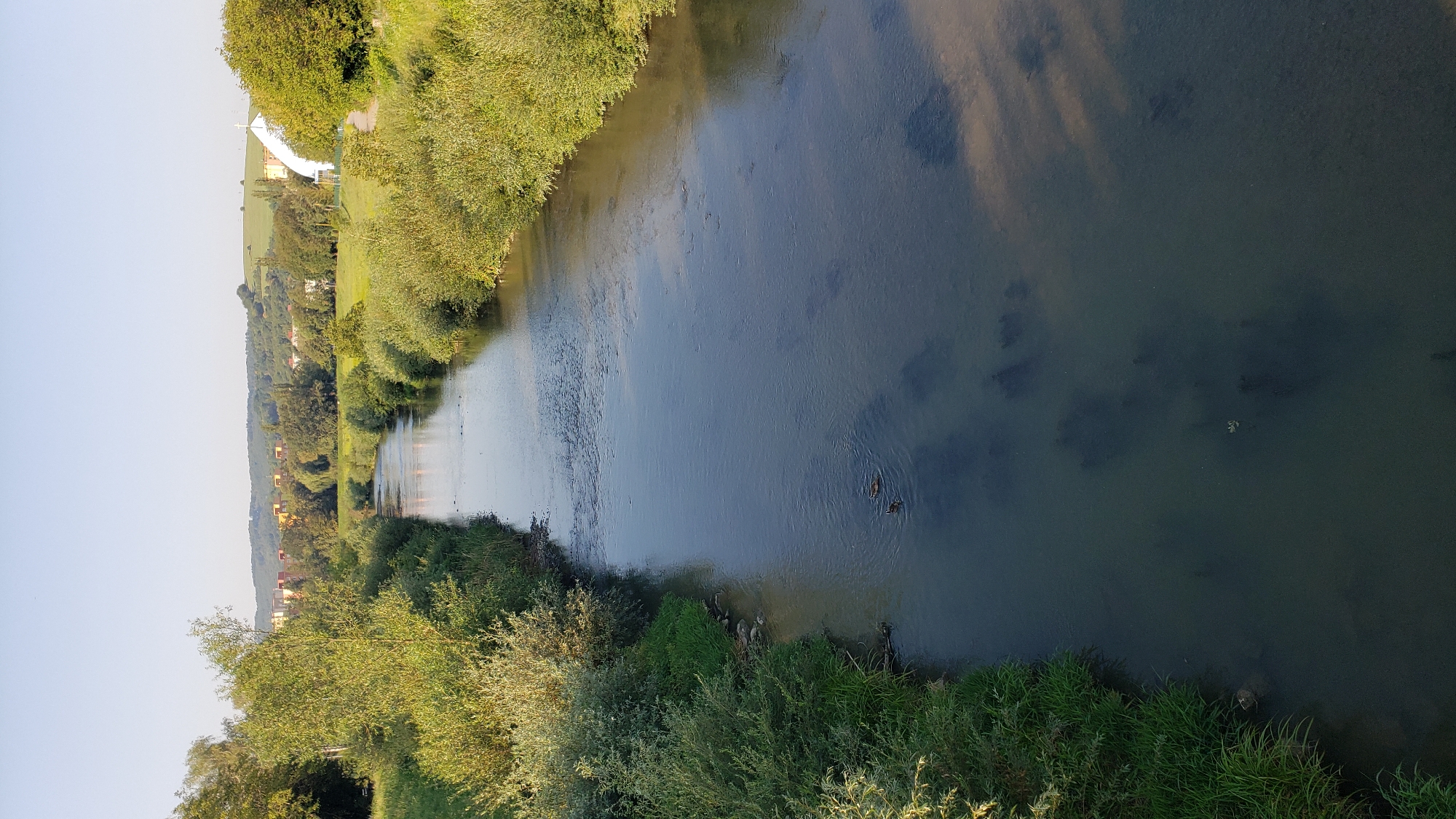 This is an aerial shot of the Sekčov river in Prešov, Slovakia. The river flows through a green, vegetated area with trees and bushes lining its banks. In the distance, there are buildings and a hill with a white building topped with a cross. Two ducks are swimming in the river. The sky is clear and blue.